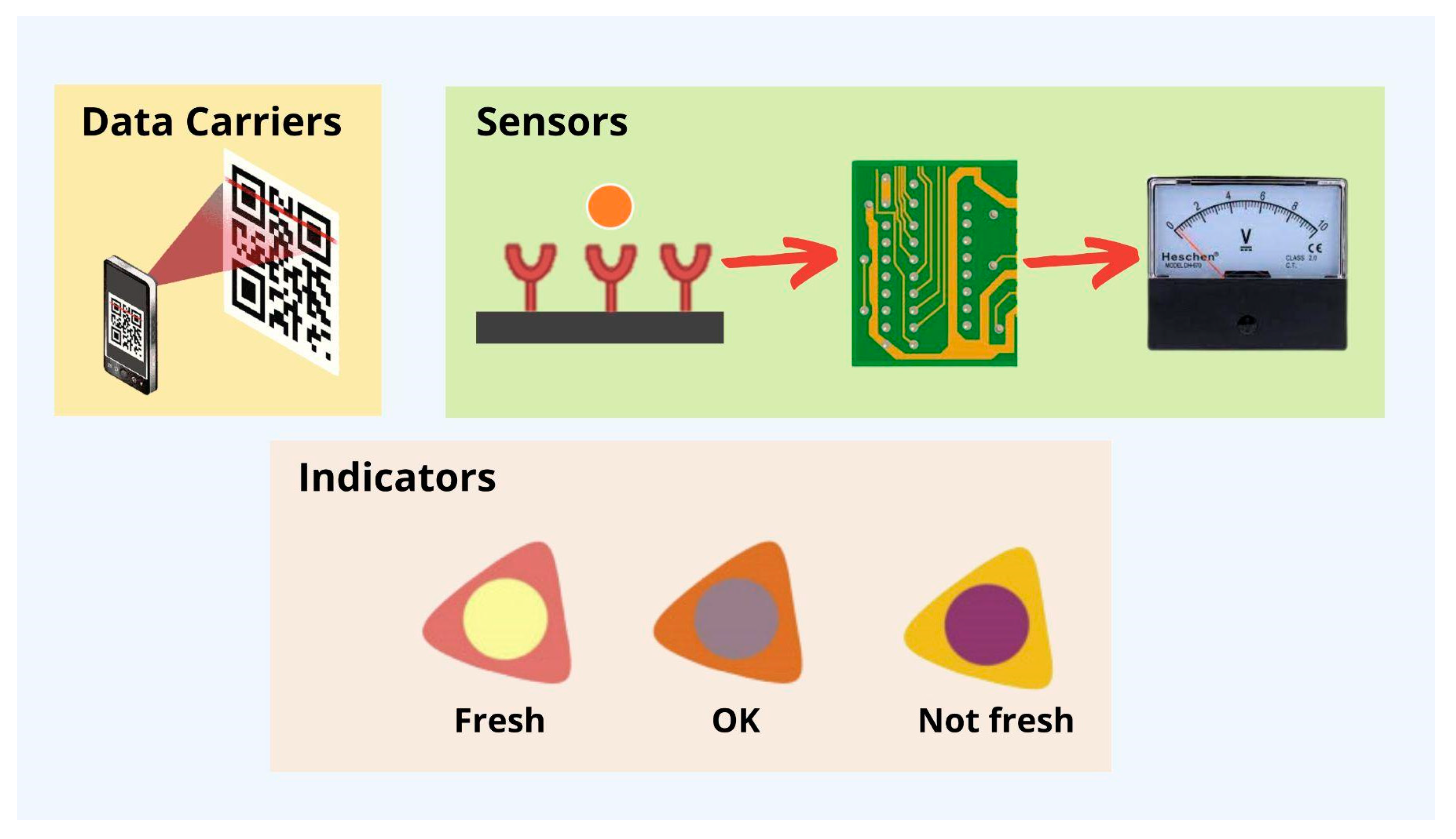 Molecules 27 05604 g006