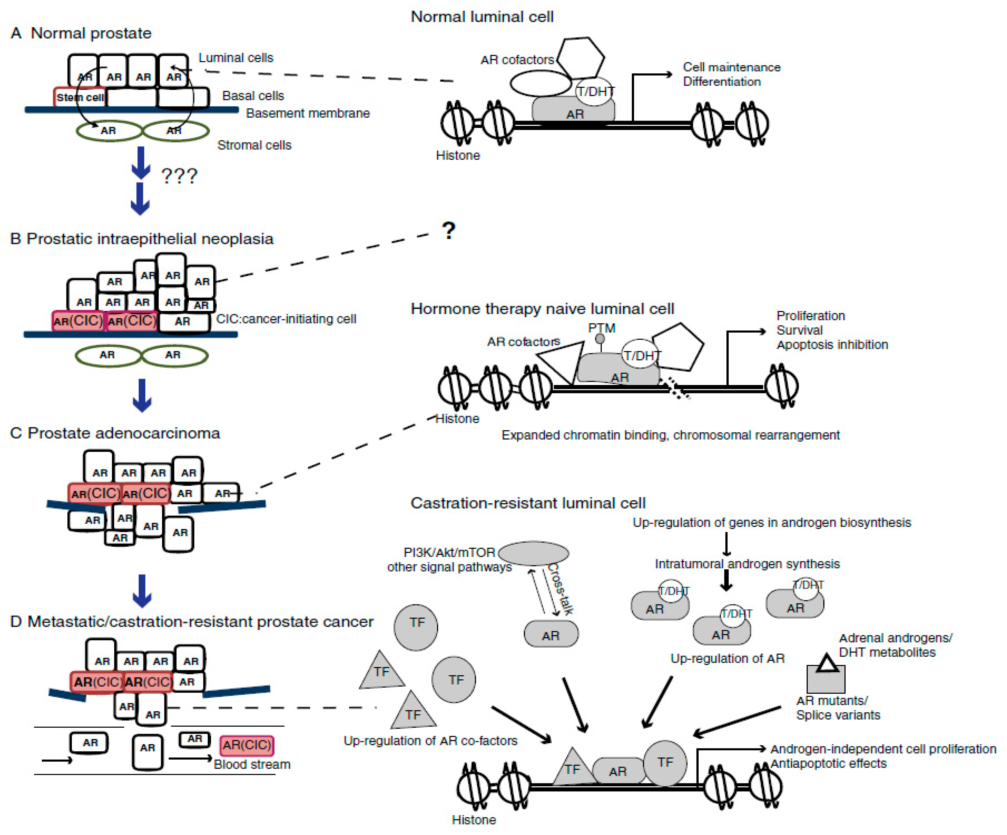 Molecules 27 05730 g002