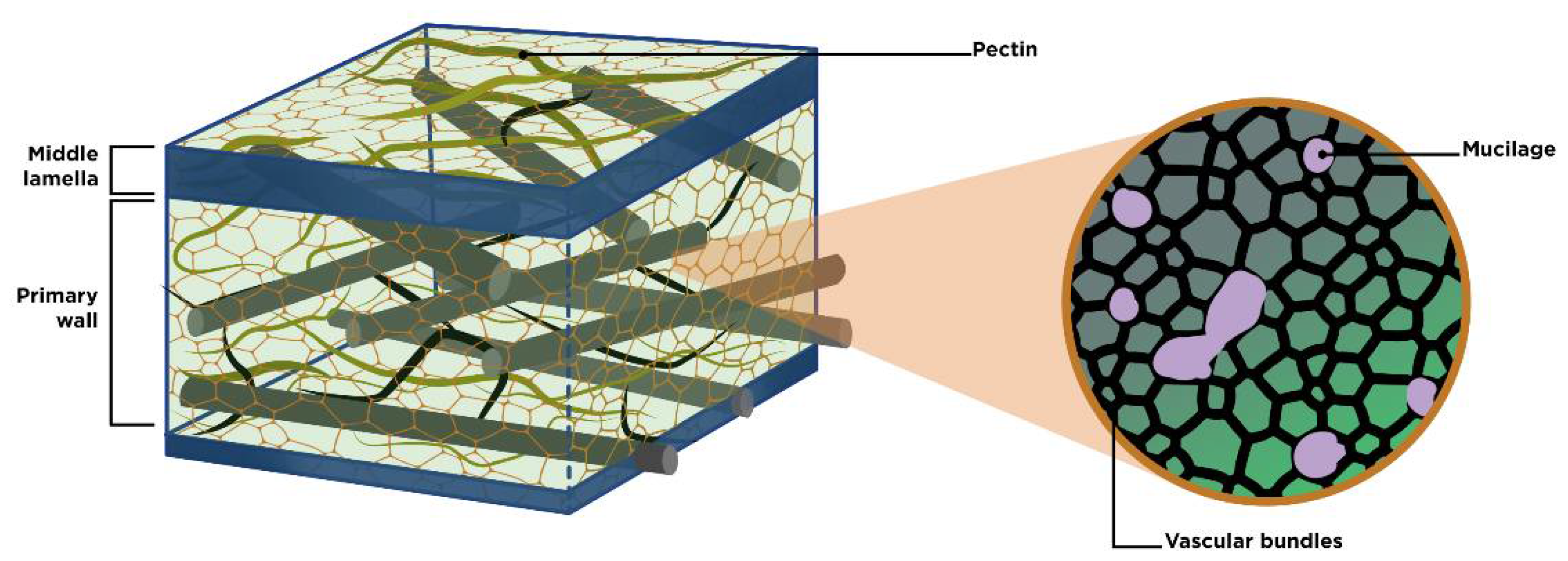 Molecules 27 05830 g001