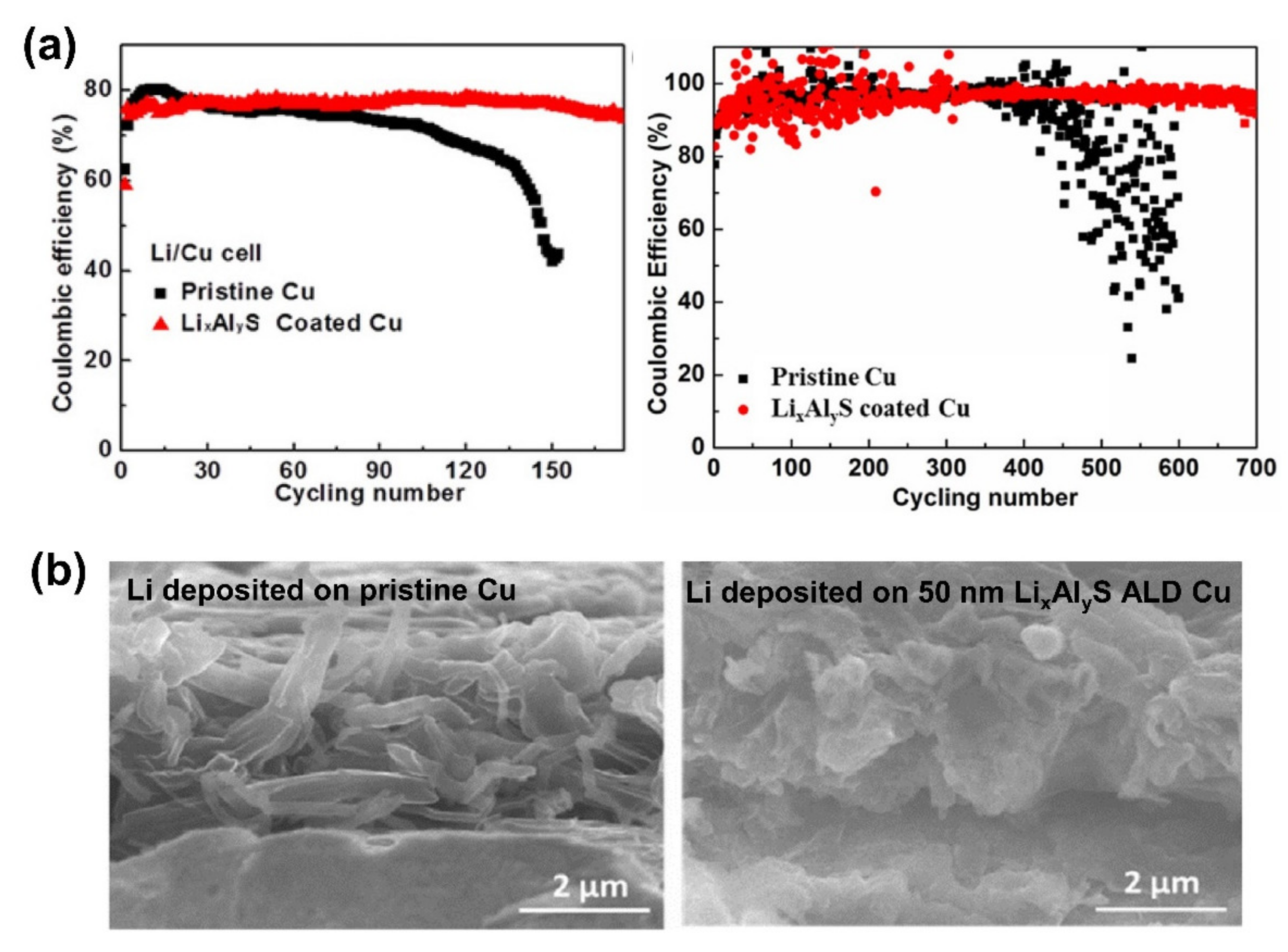 Molecules 27 06170 g004