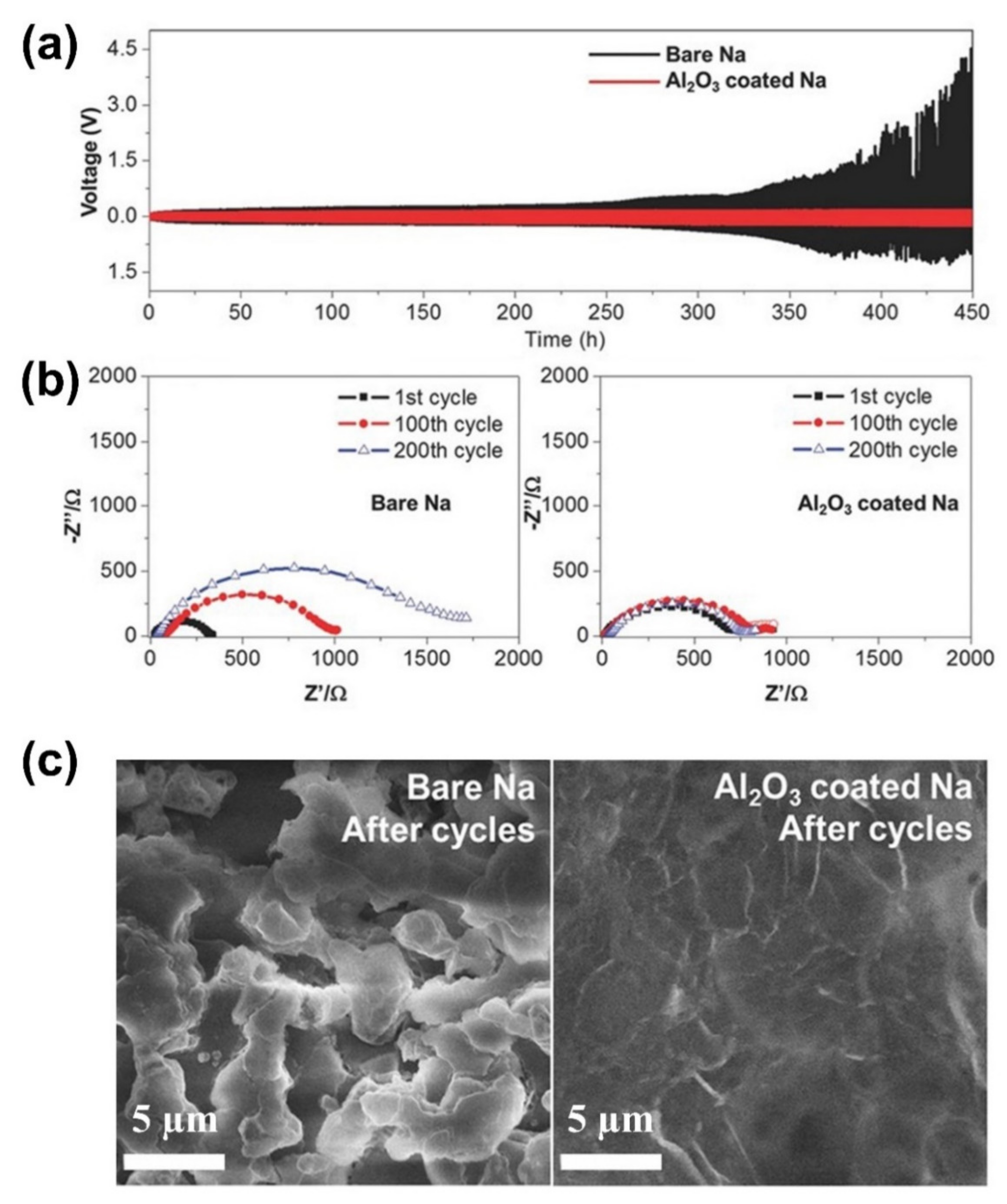 Molecules 27 06170 g005