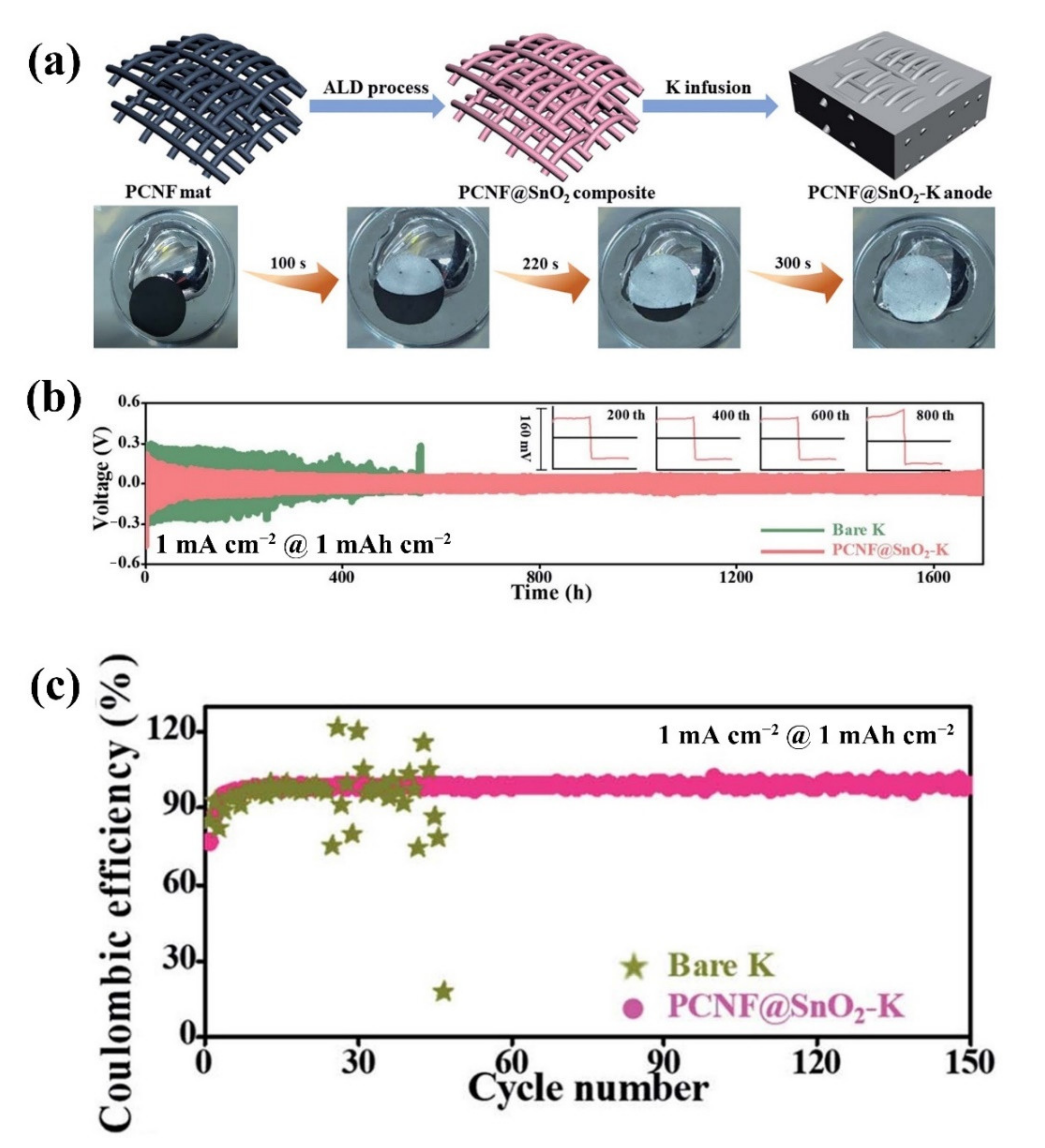 Molecules 27 06170 g006