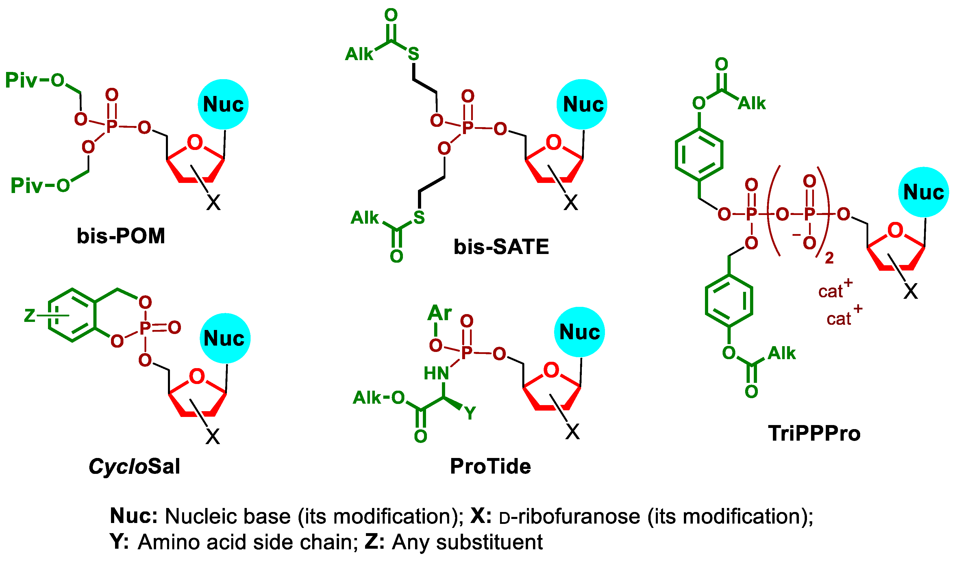 Molecules 27 06214 g002