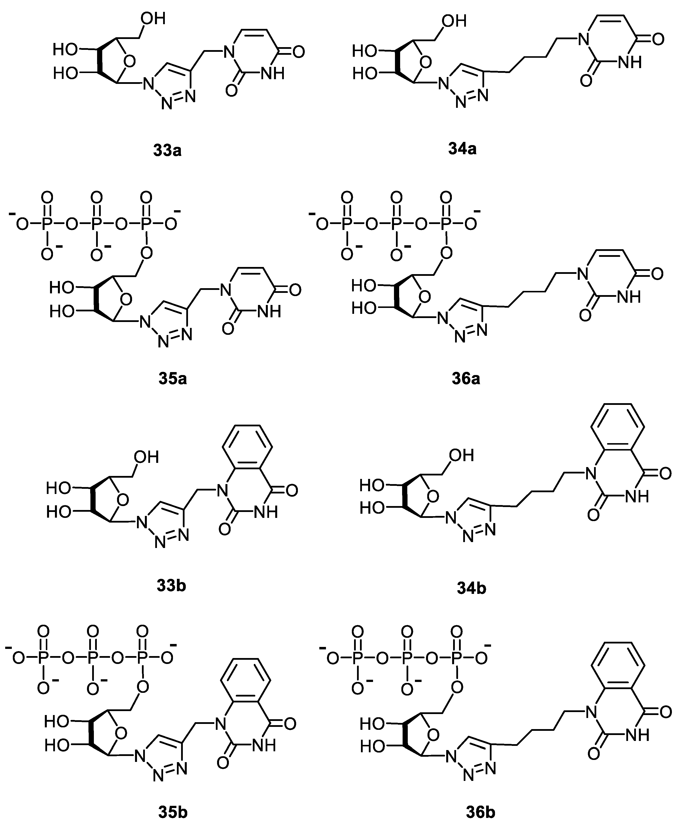Molecules 27 06214 g003