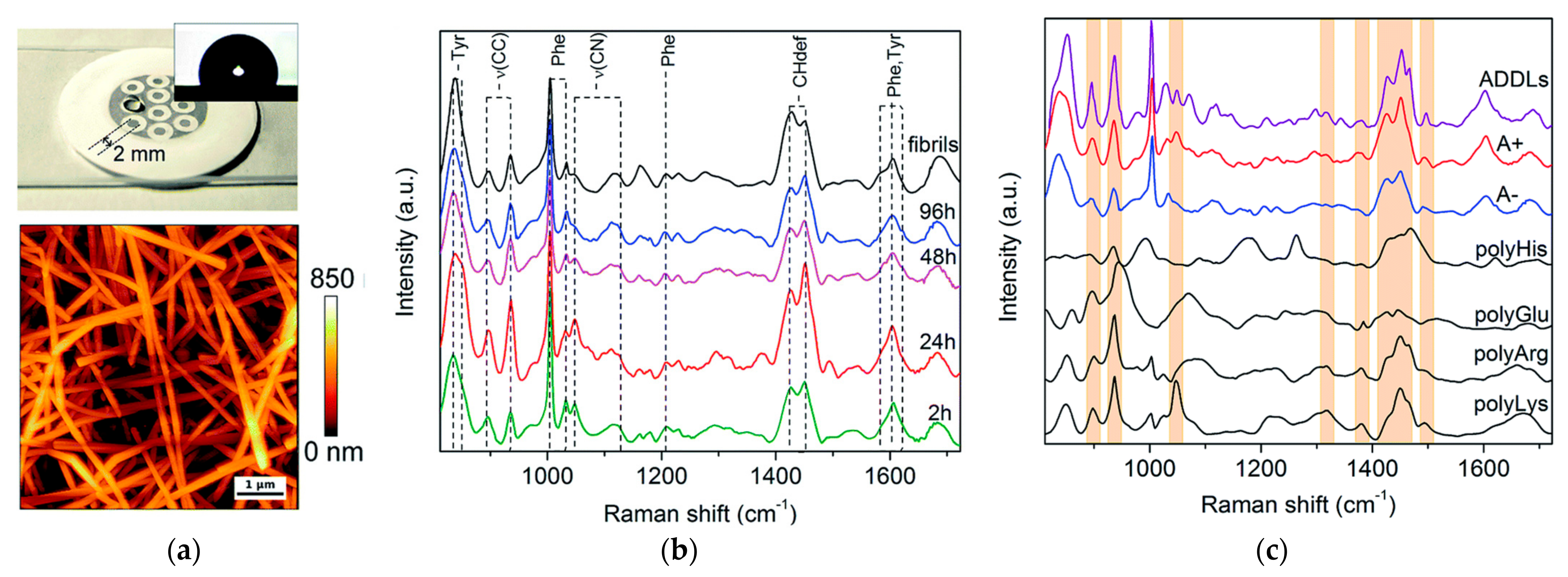 Molecules 27 06448 g003