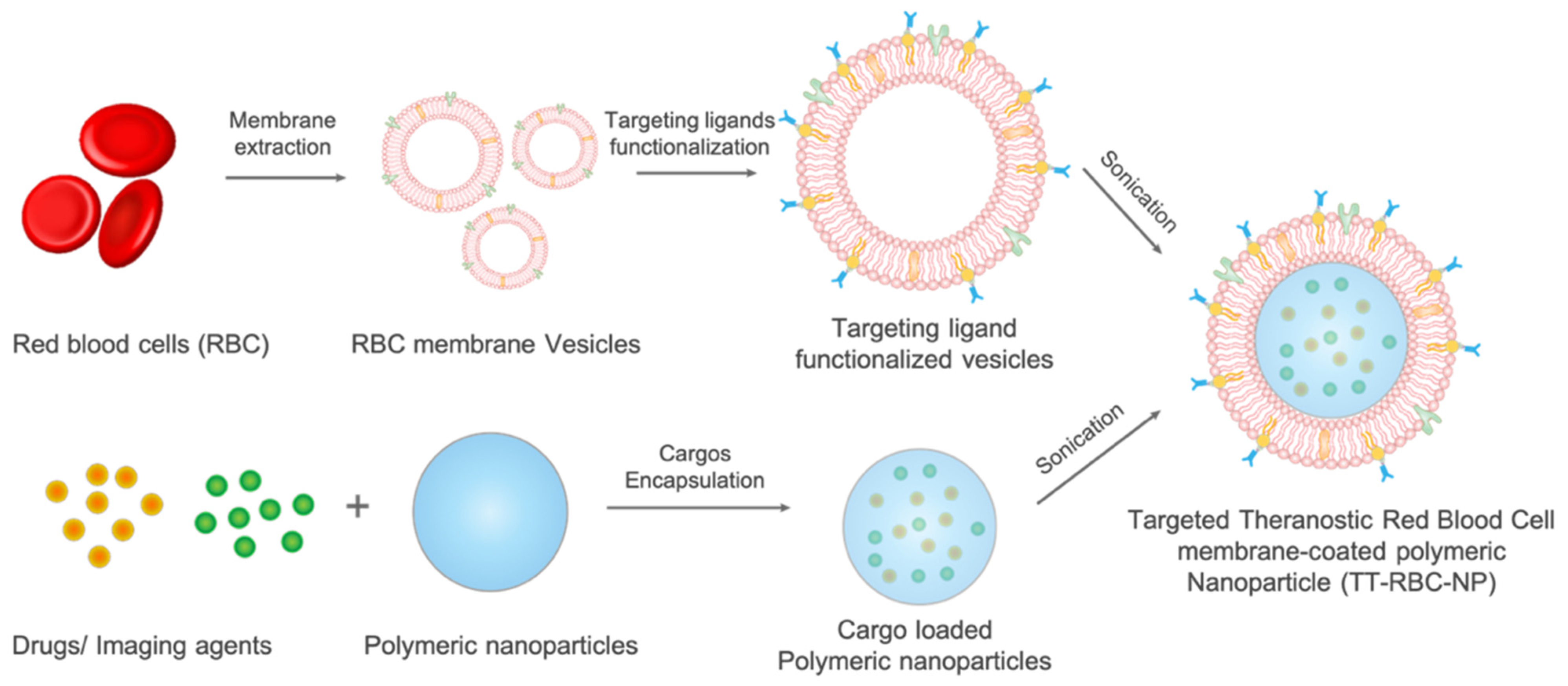 Molecules 27 06473 g001 Molecules 27 06473 g001