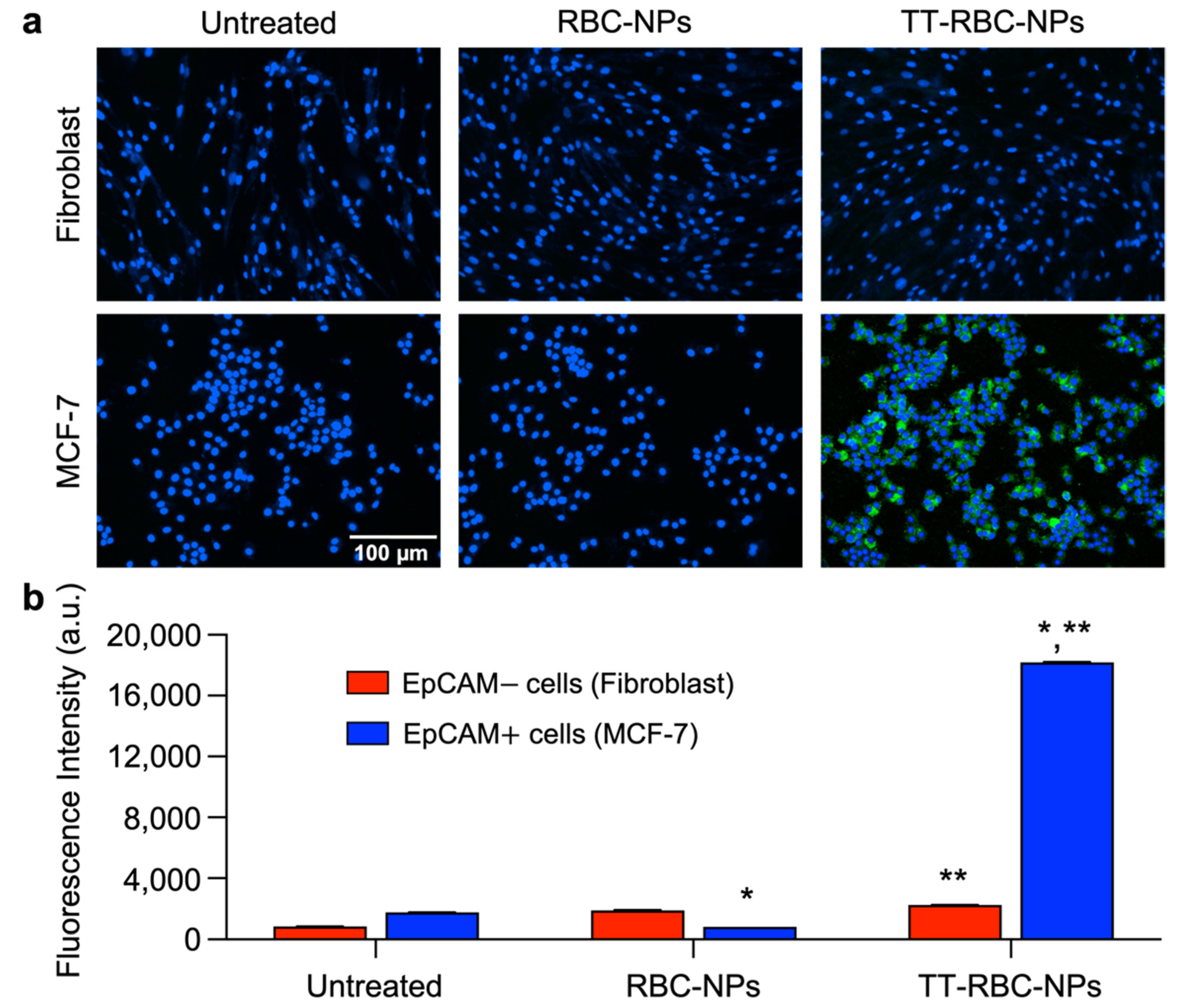 Molecules 27 06473 g007 Molecules 27 06473 g007