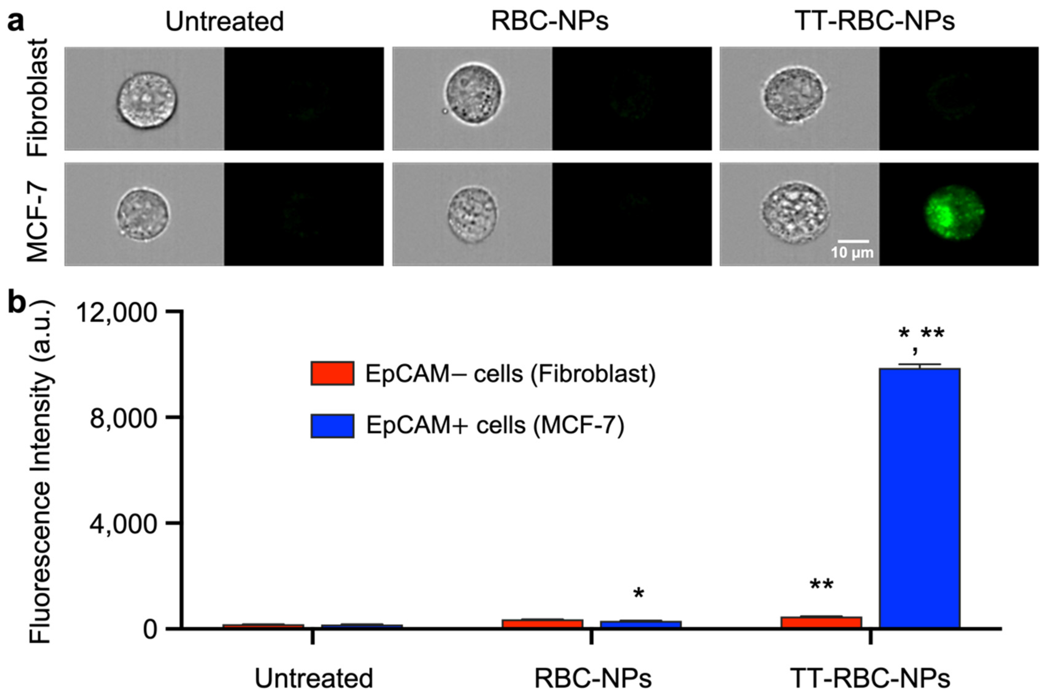 Molecules 27 06473 g008 Molecules 27 06473 g008