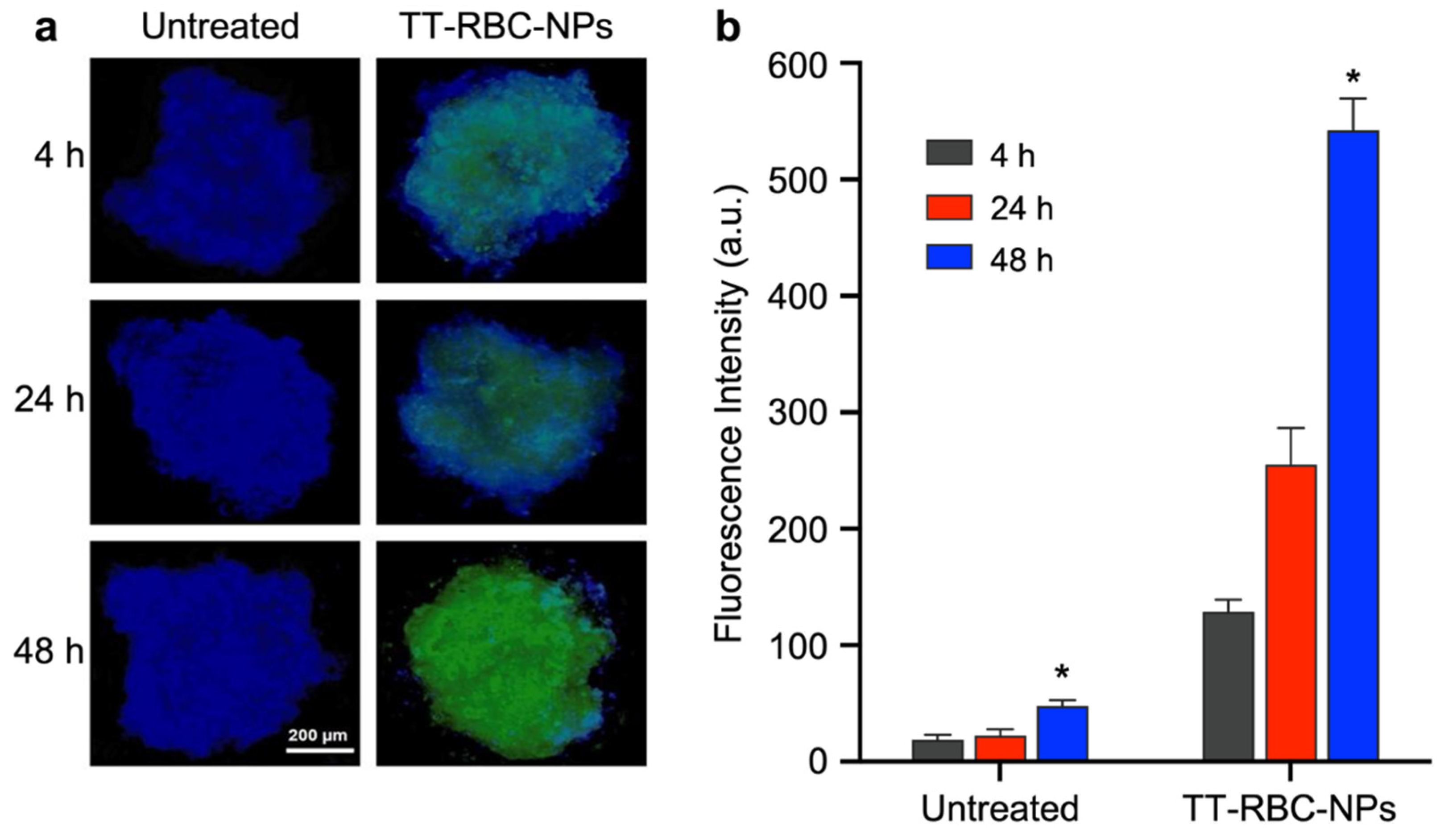 Molecules 27 06473 g009 Molecules 27 06473 g009