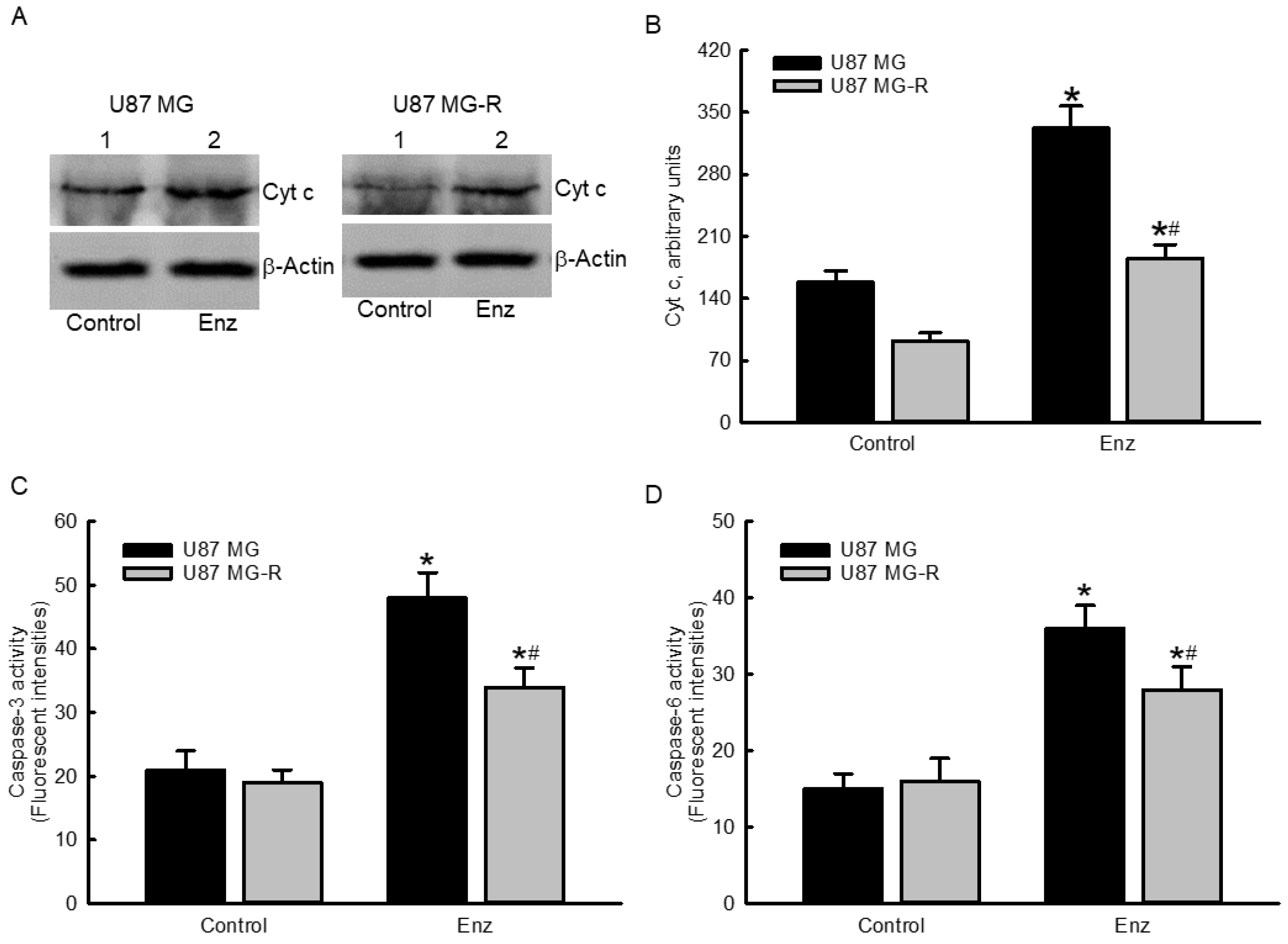 Molecules 27 06666 g005