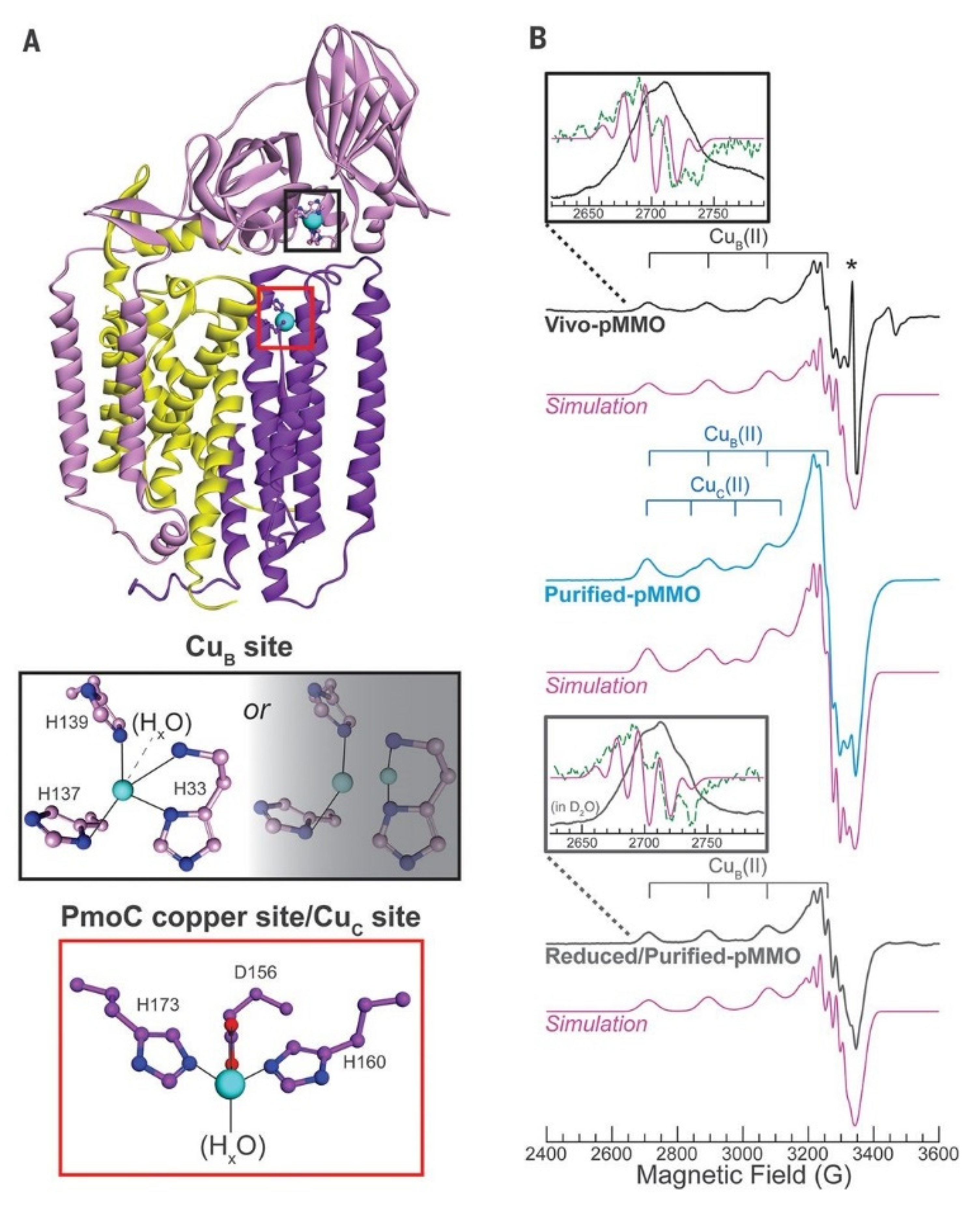 Molecules Free Full Text Recent Insights Into Cu Based Catalytic