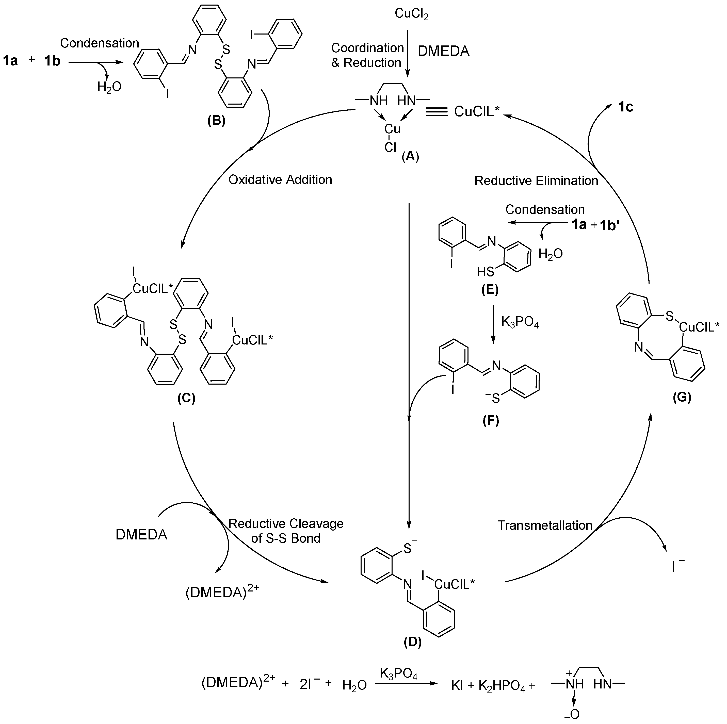 Molecules 27 07392 sch002