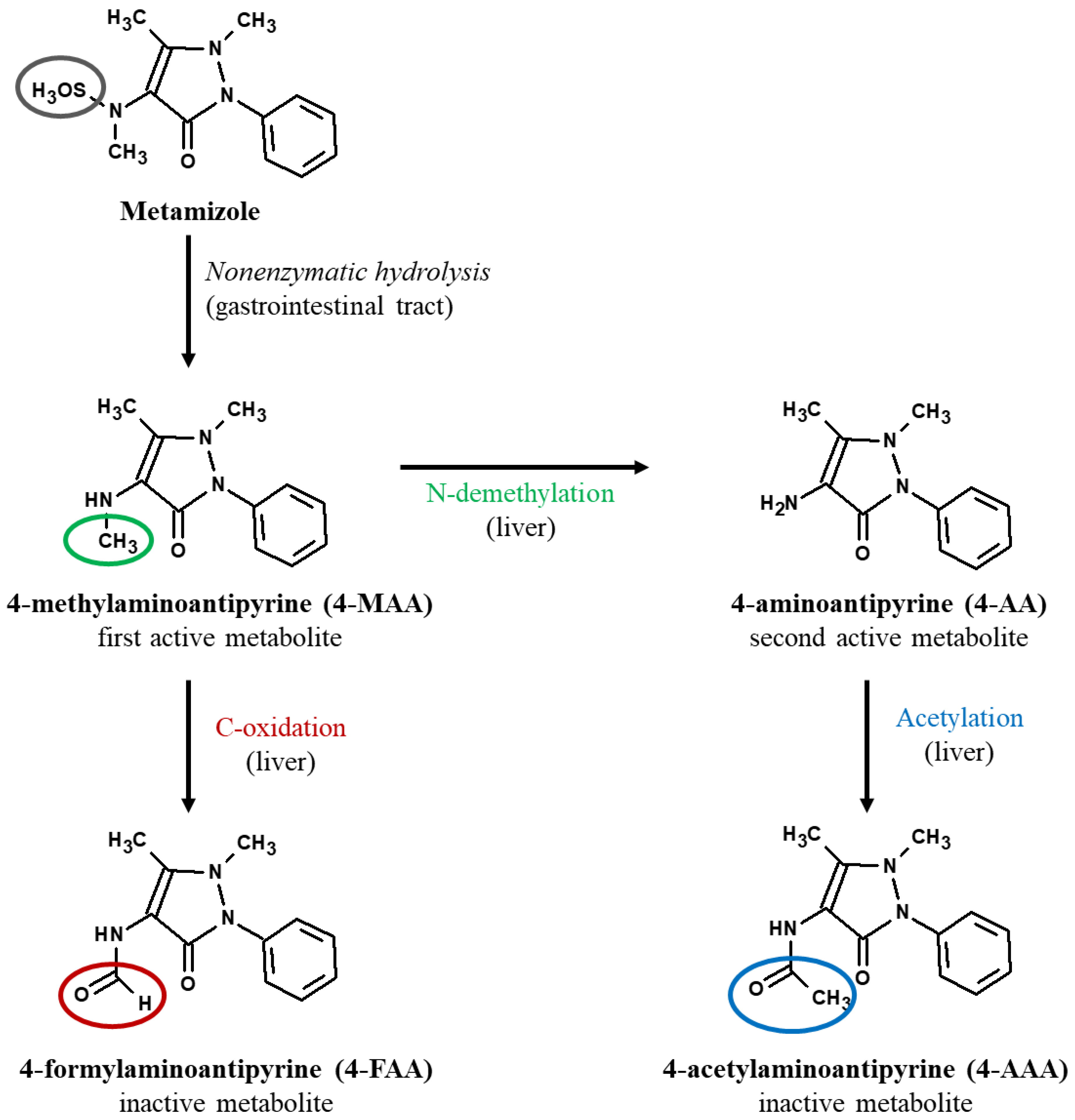 Molecules Free Full Text Pain Management And Analgesics Used In