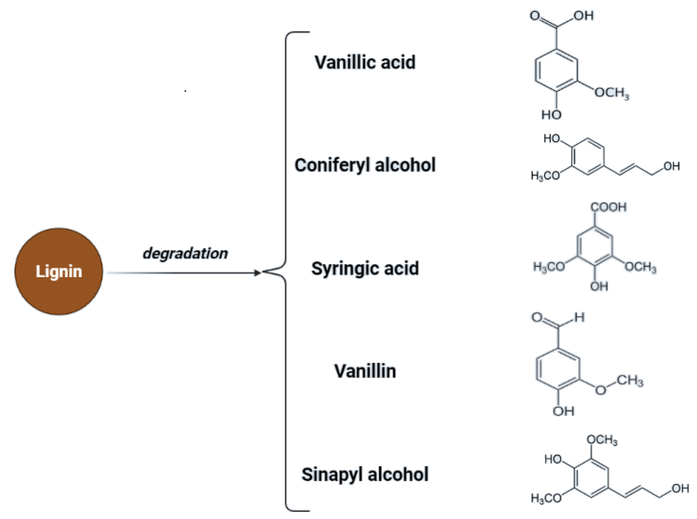 Molecules 27 07658 g002