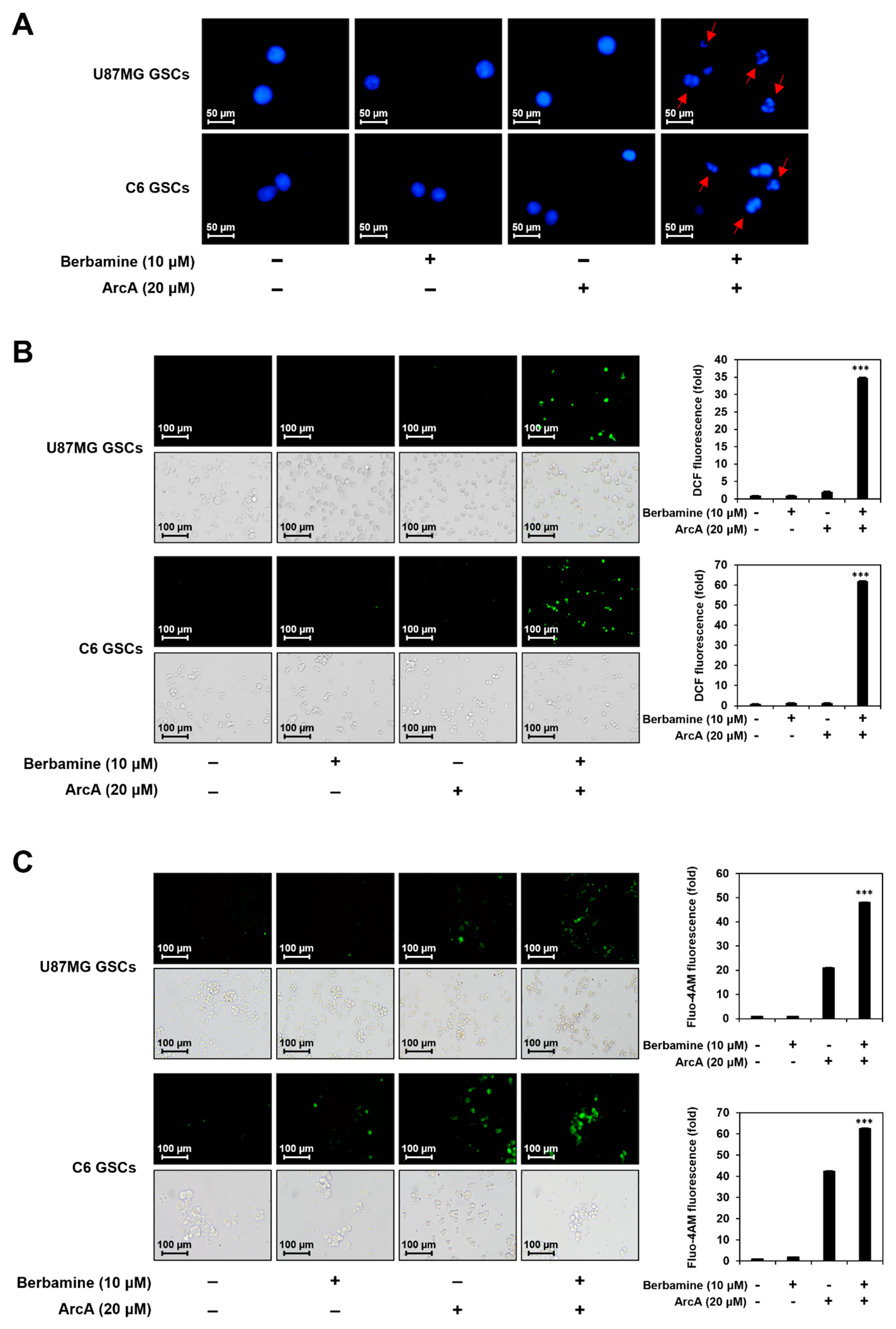 Molecules 27 07968 g002a