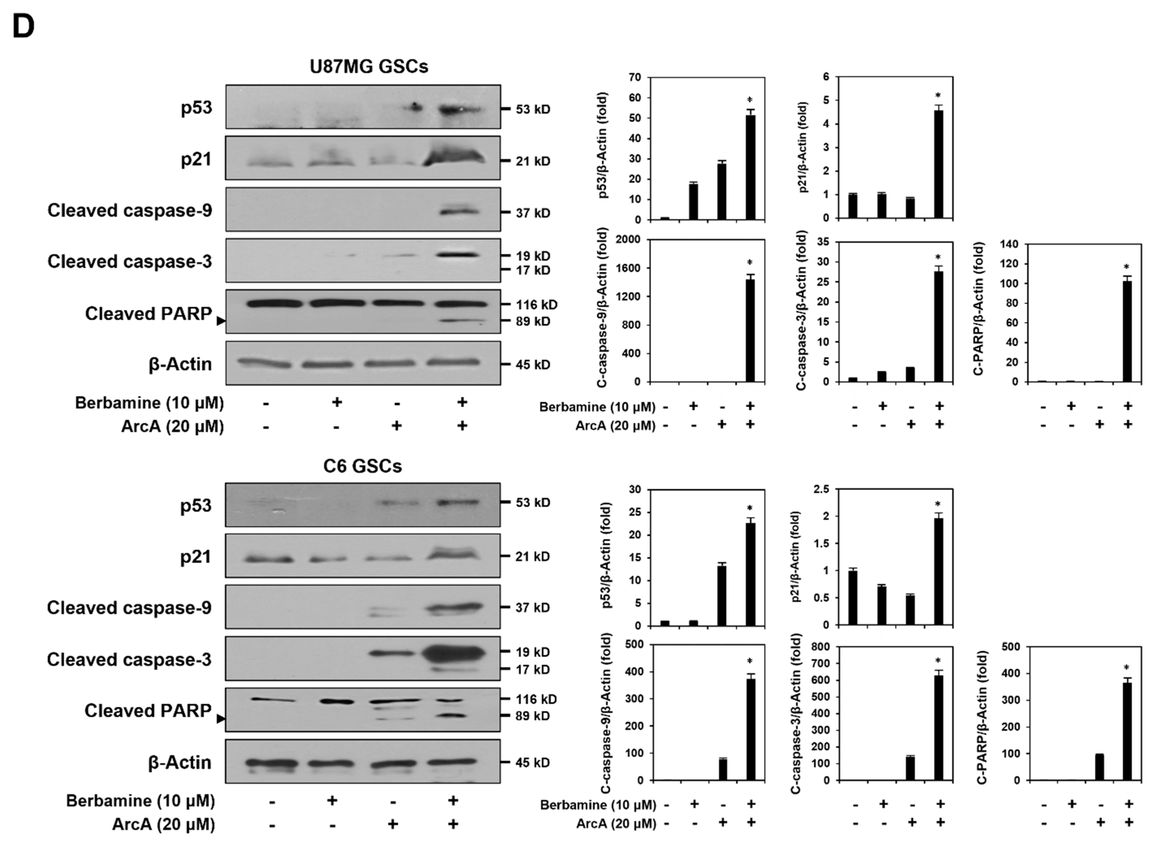 Molecules 27 07968 g002b