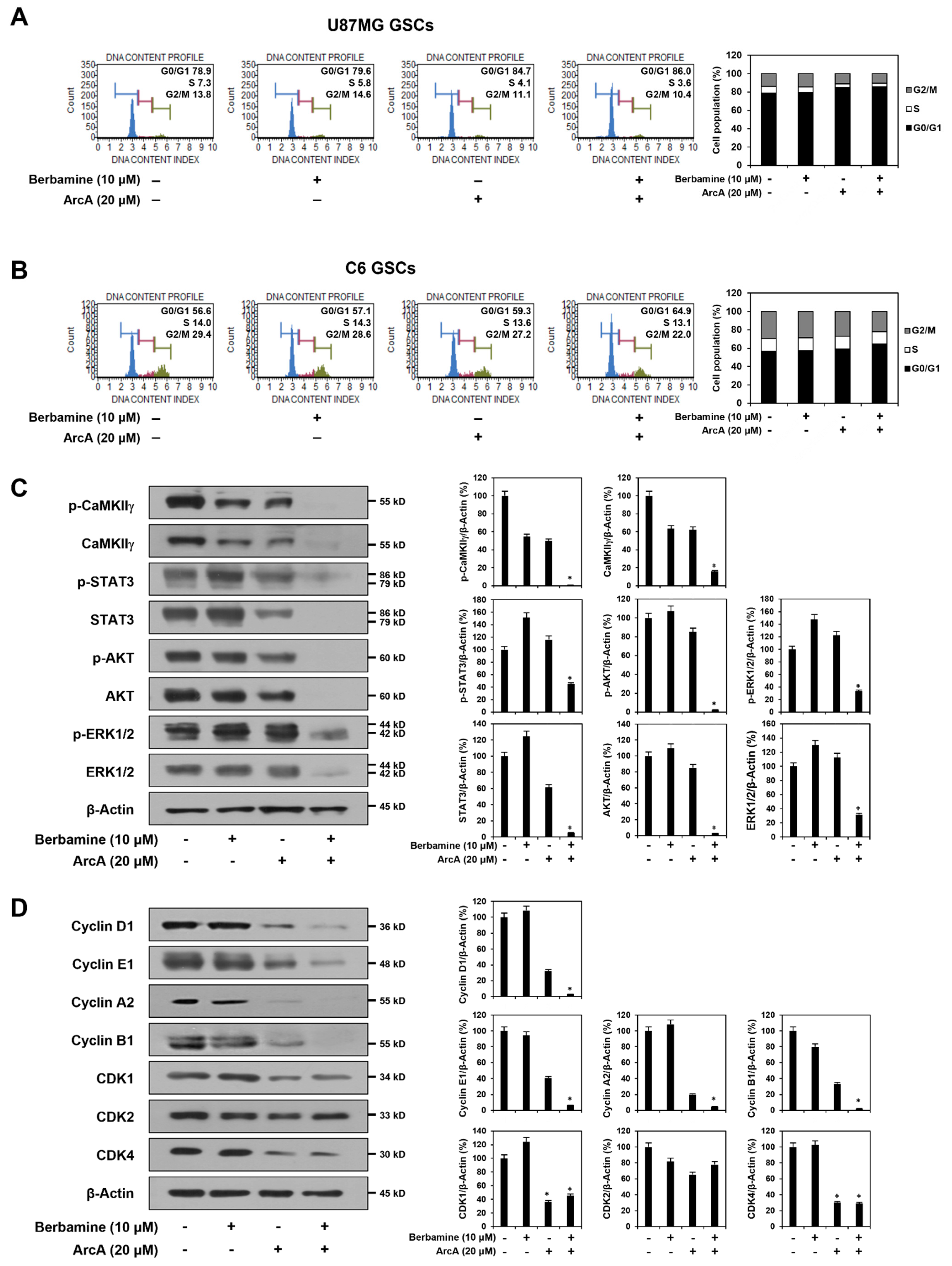 Molecules 27 07968 g003