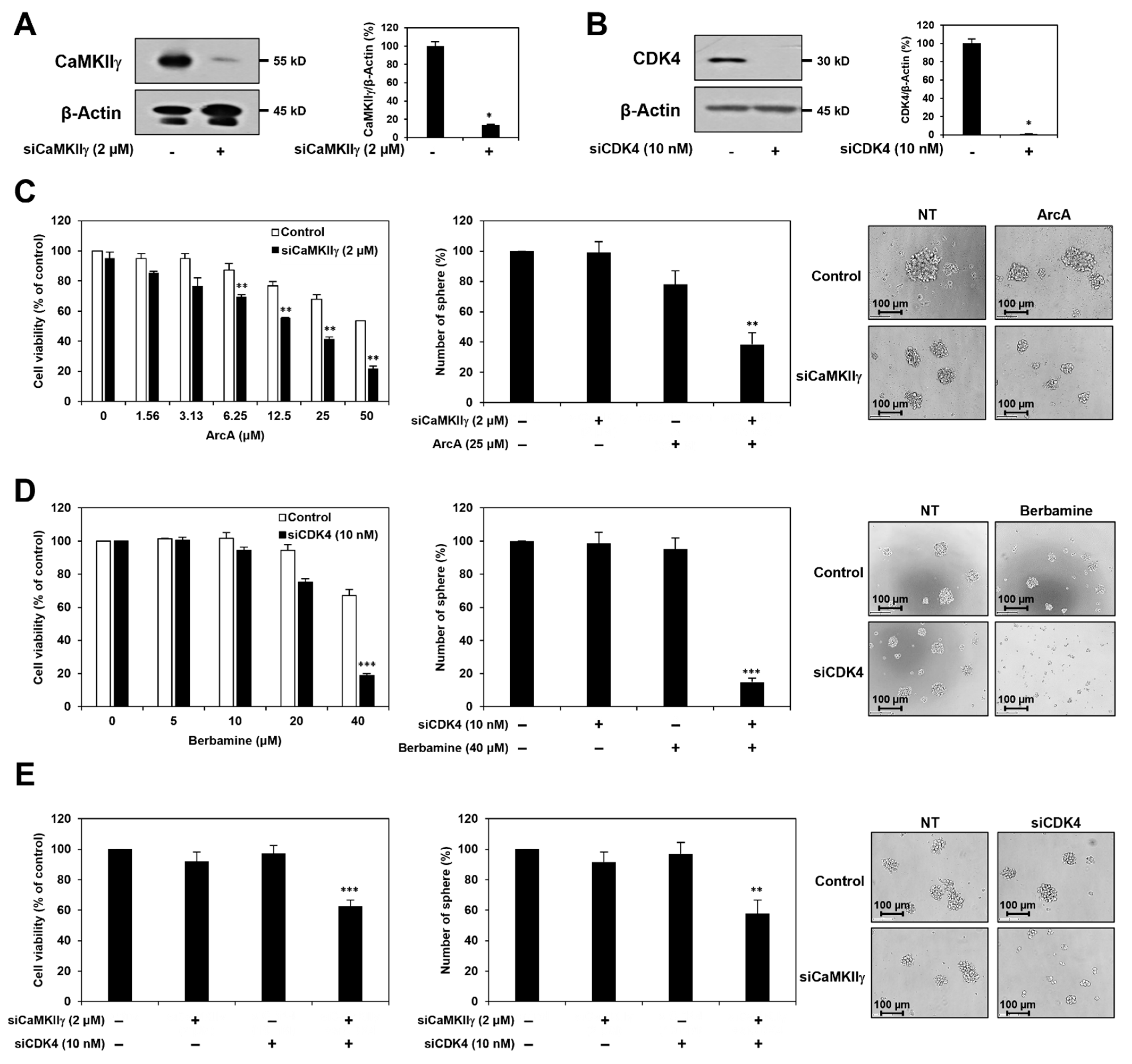 Molecules 27 07968 g005