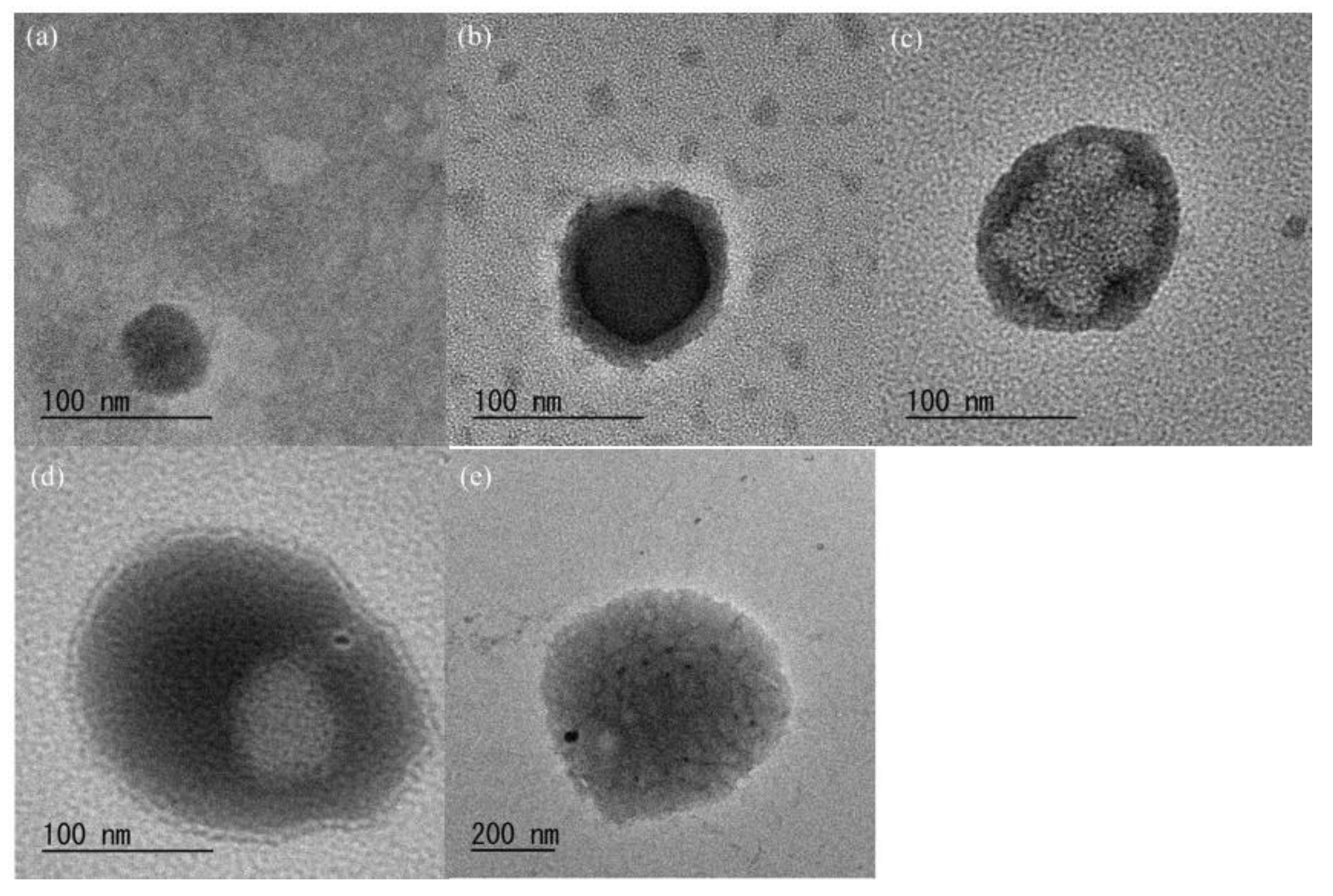 Molecules 27 08384 g004