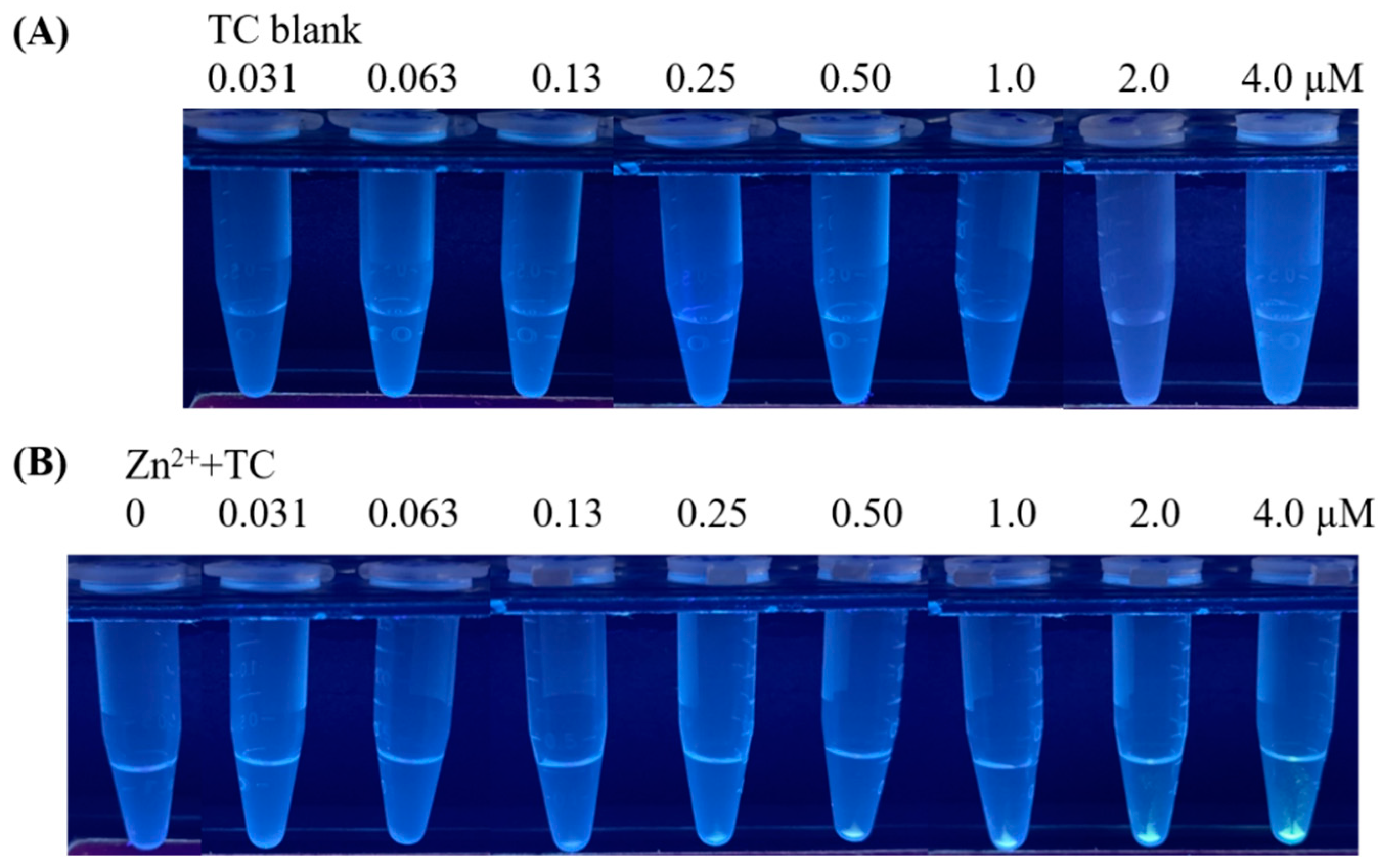 Molecules 27 08403 g002