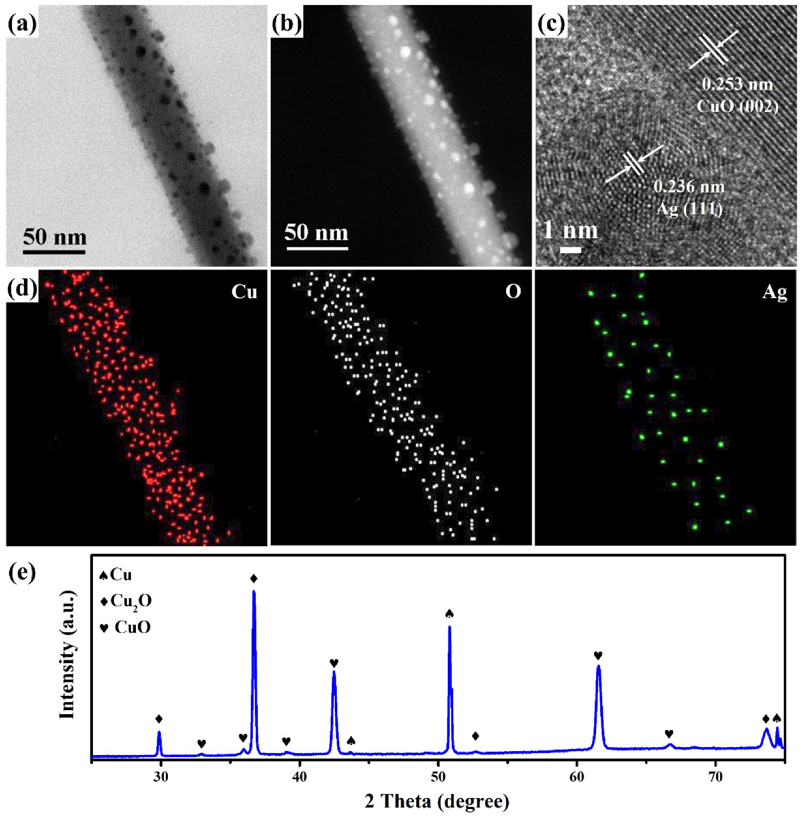 Molecules 27 08460 g003