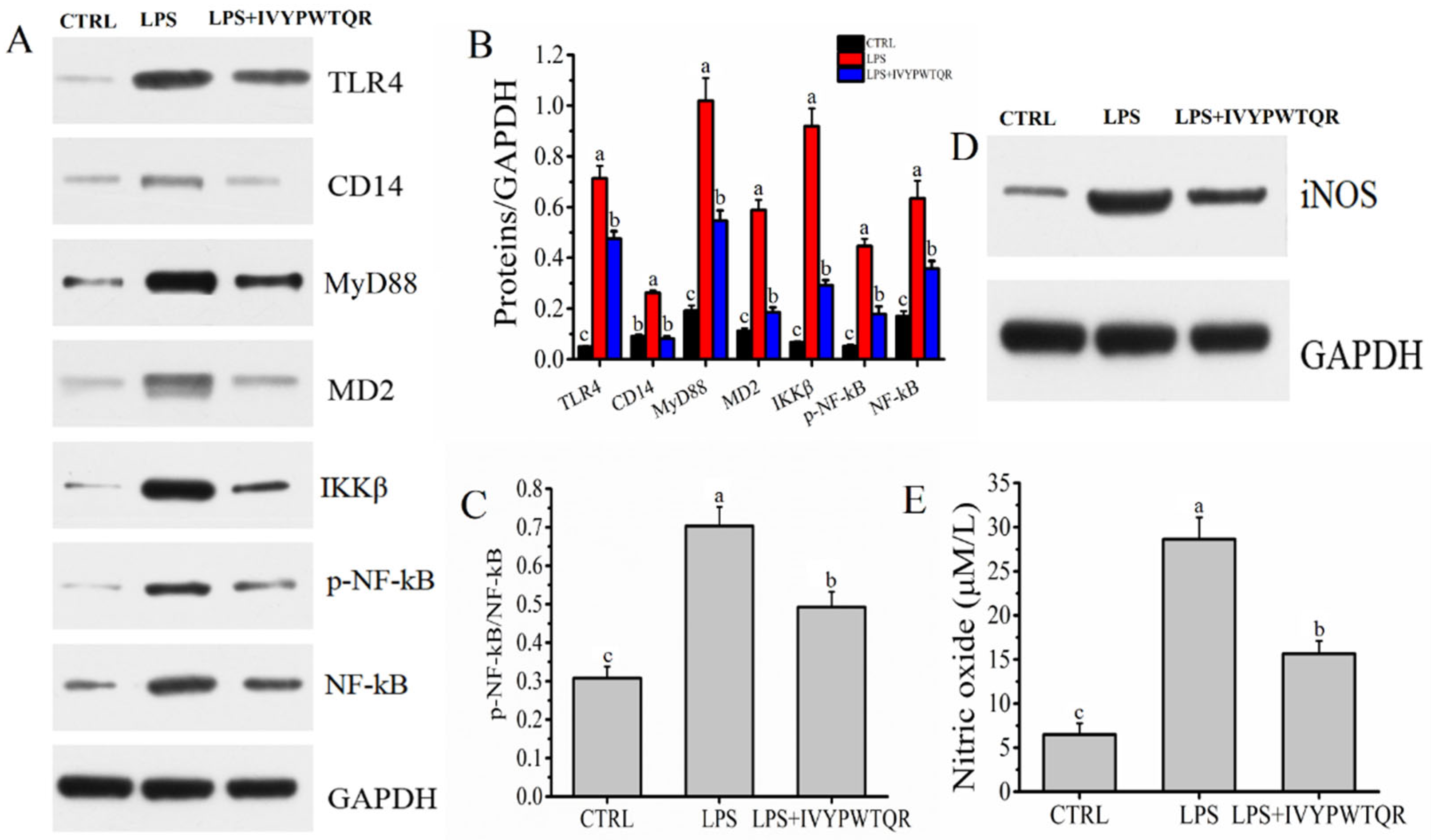 Molecules 27 08816 g007