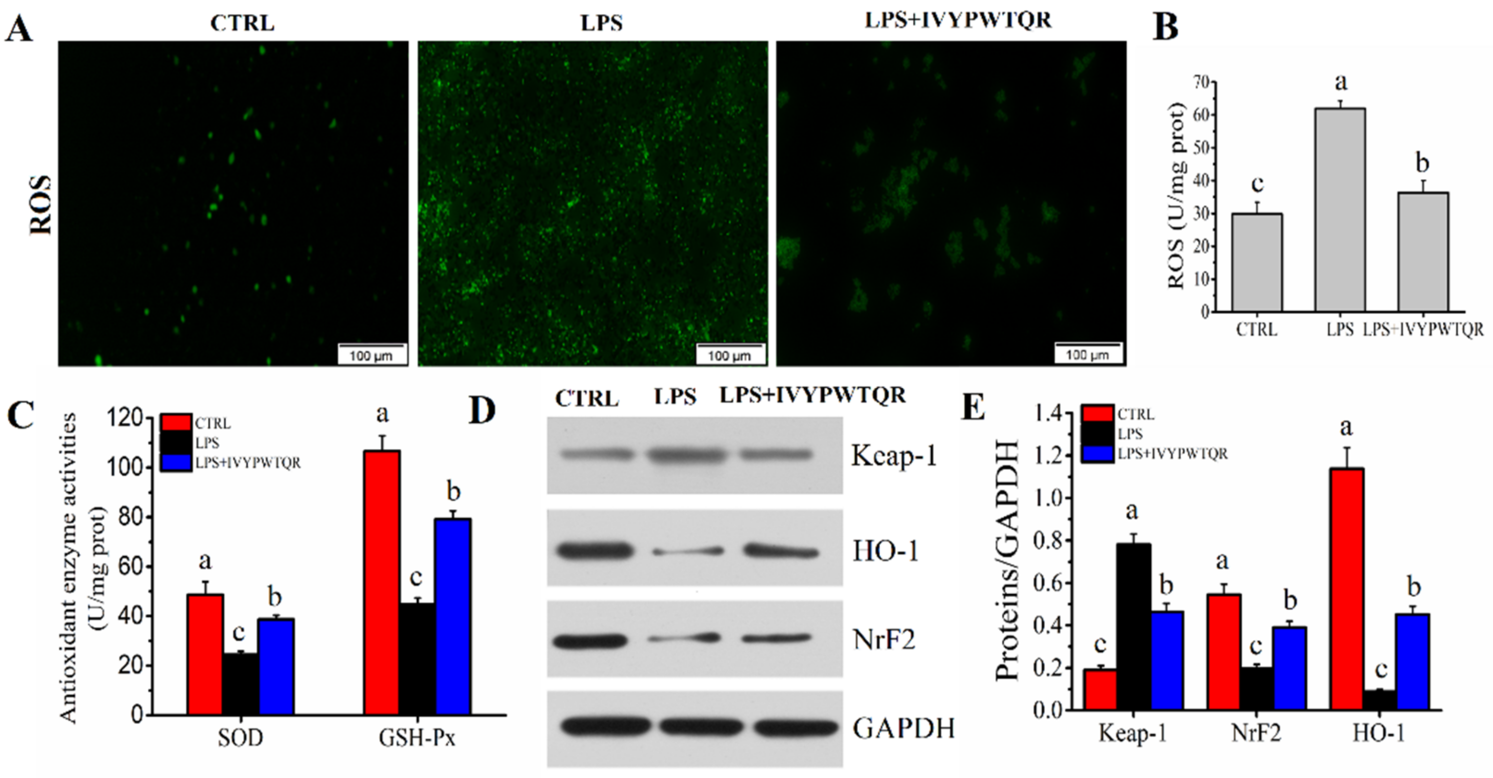 Molecules 27 08816 g008