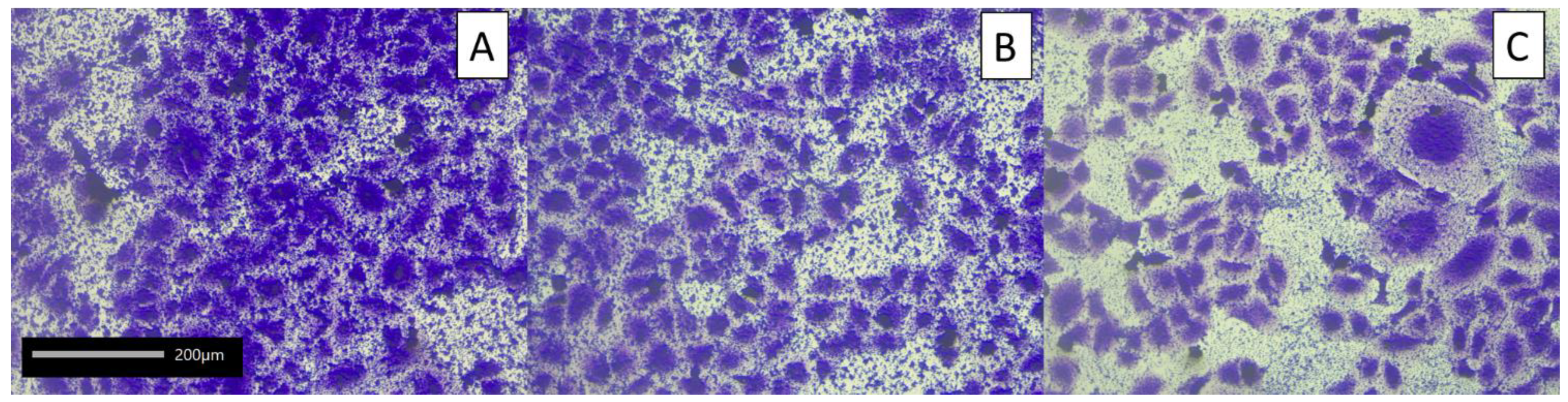 Molecules 27 08945 g004 Molecules 27 08945 g004