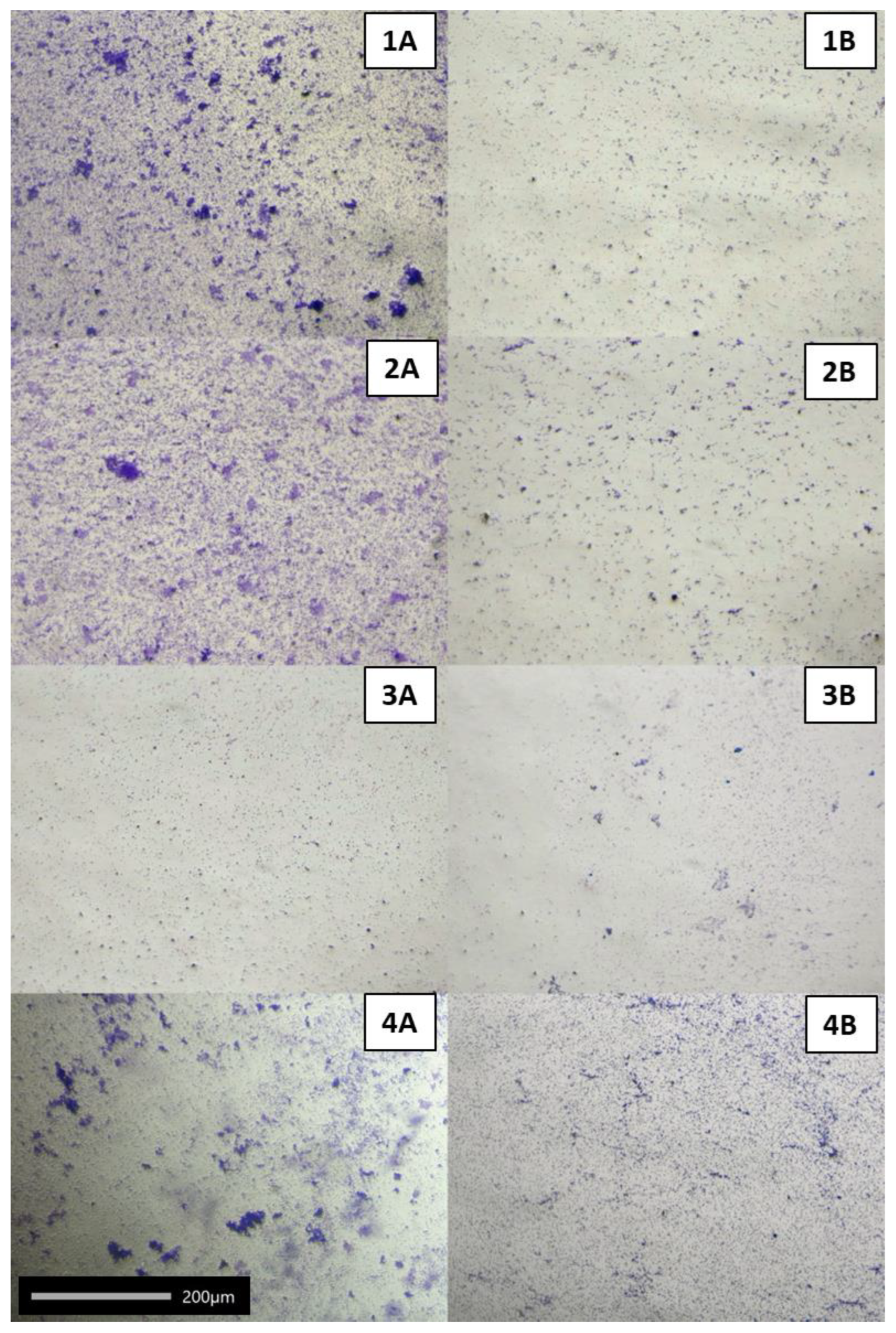 Molecules 27 08945 g006 Molecules 27 08945 g006