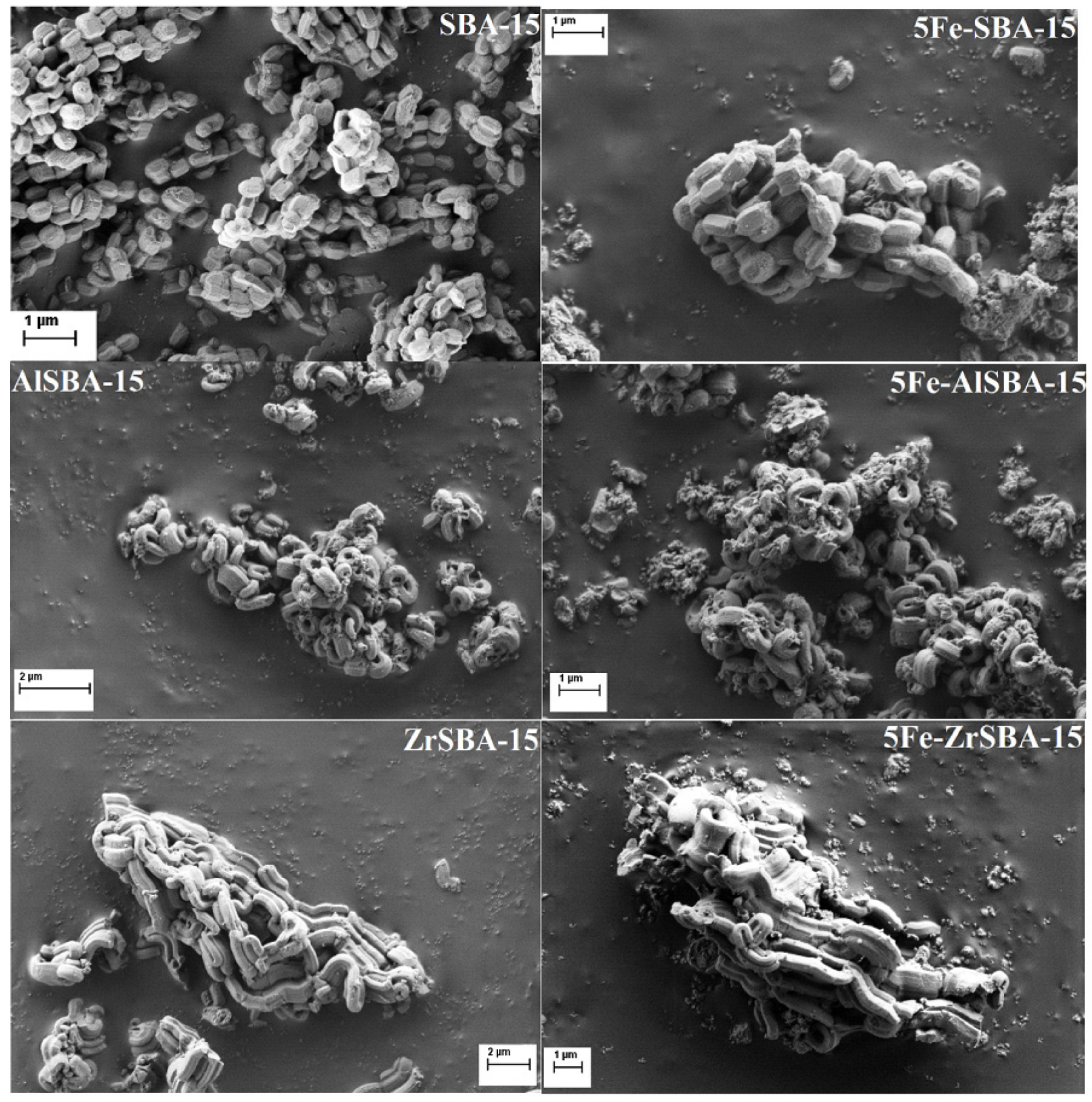 Molecules 28 00204 g003