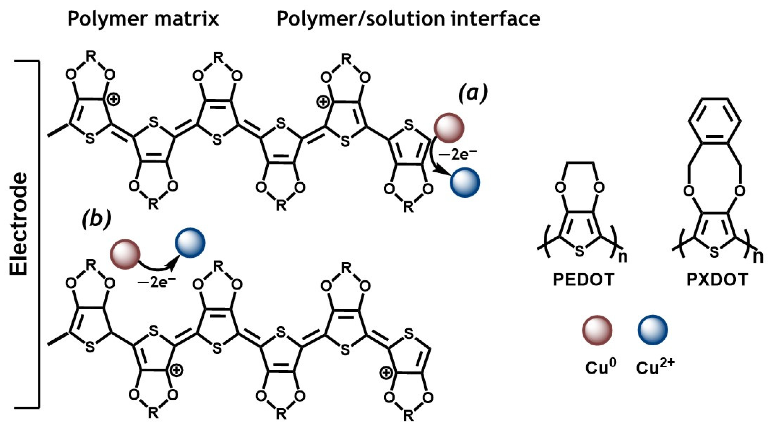 Molecules 28 00569 sch001