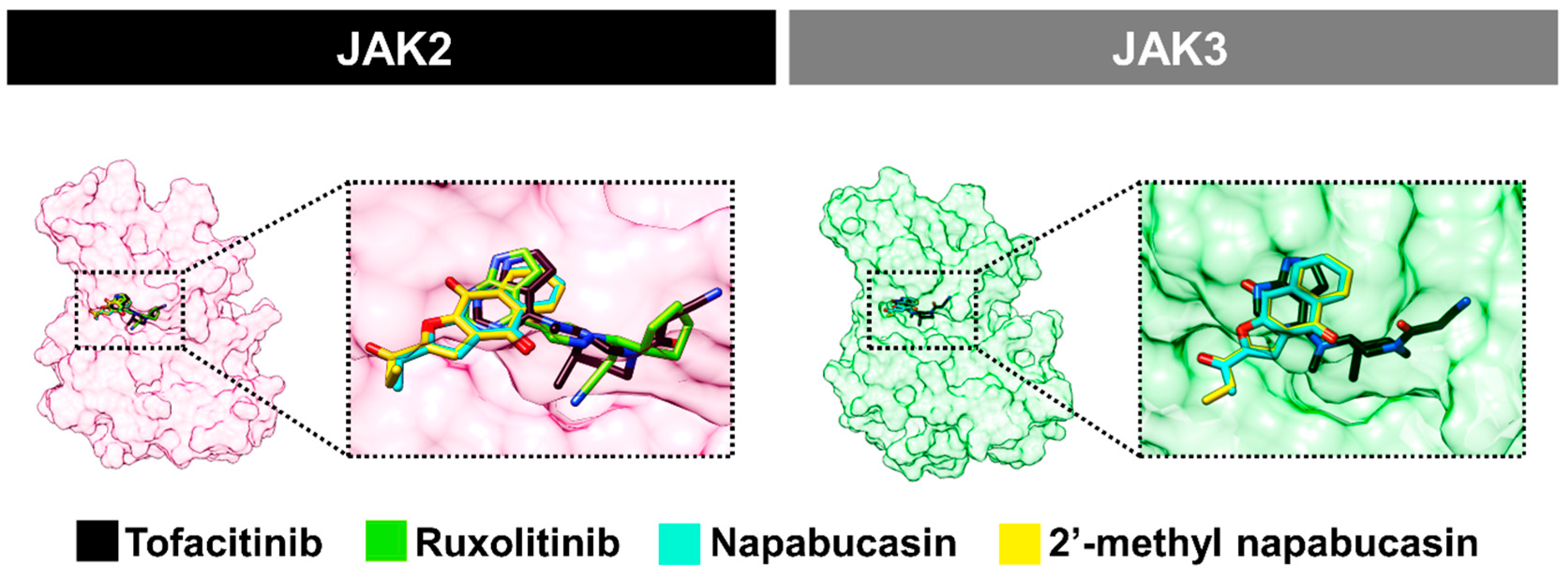 Molecules 28 00597 g006