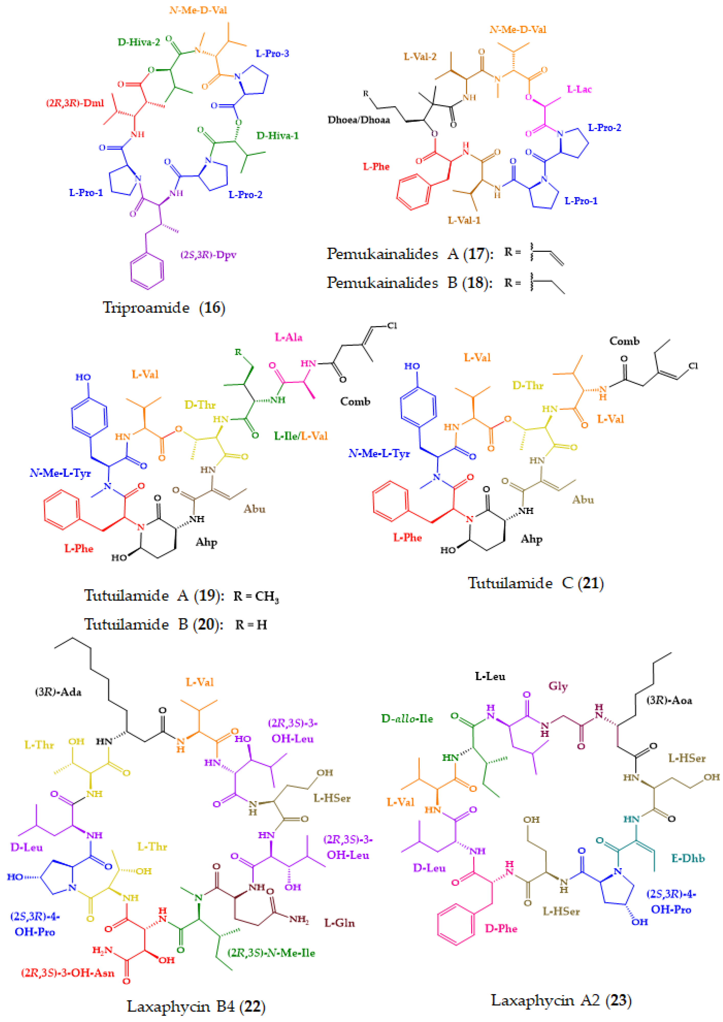Molecules 28 00615 g007b