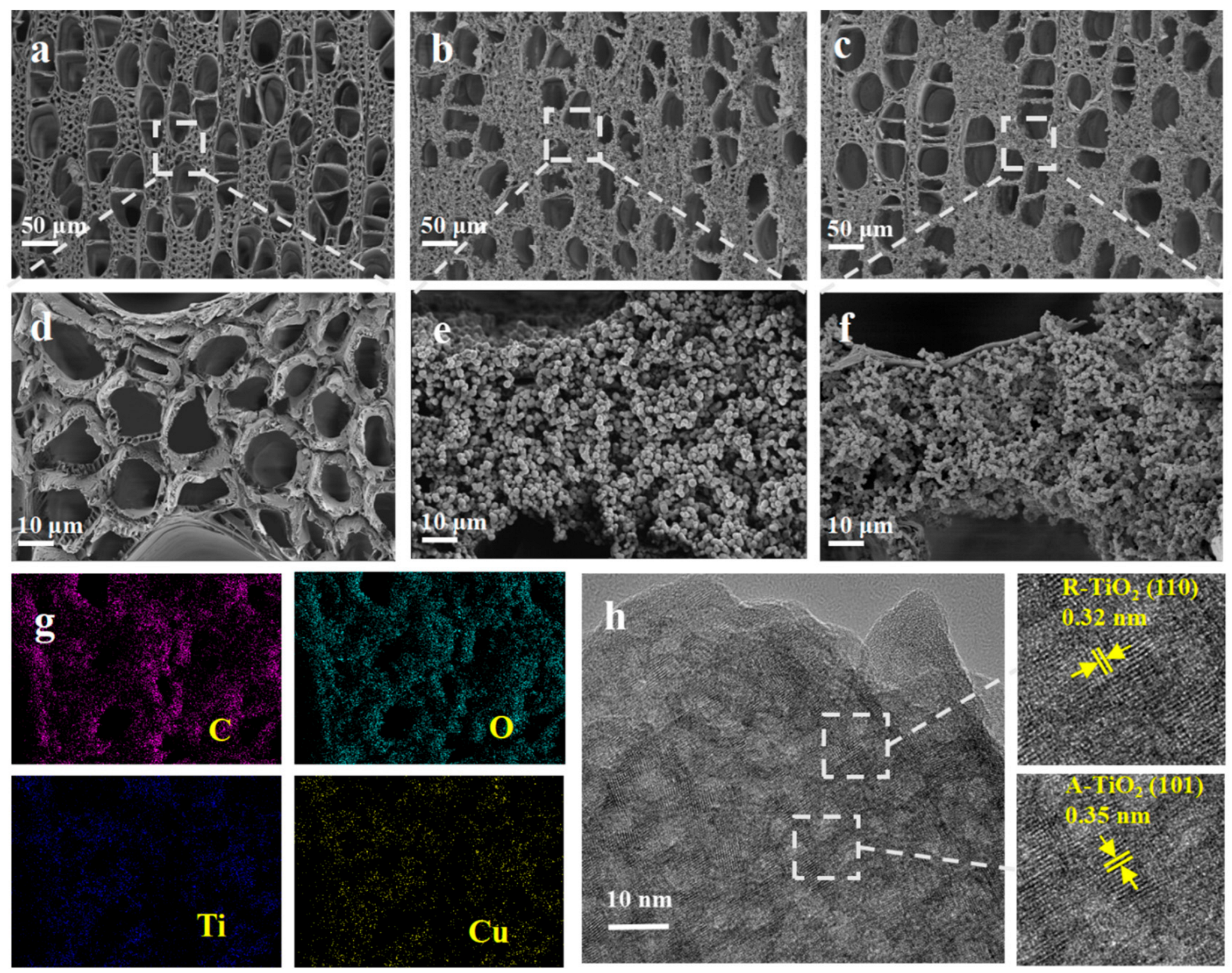 Molecules 28 00972 g001
