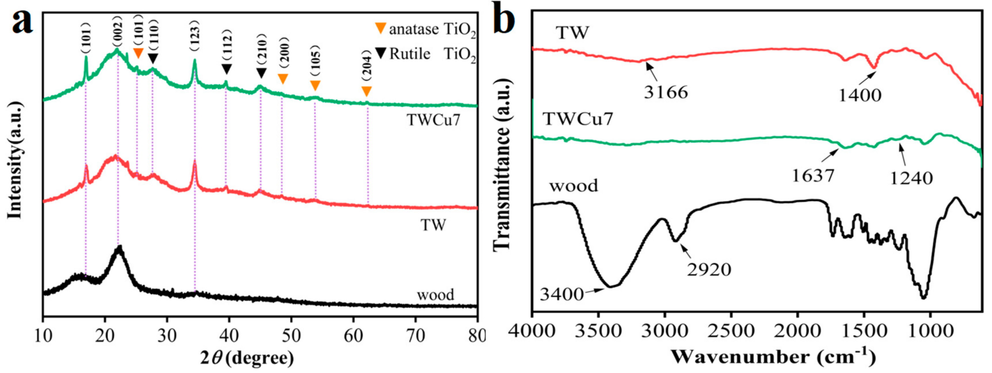 Molecules 28 00972 g002