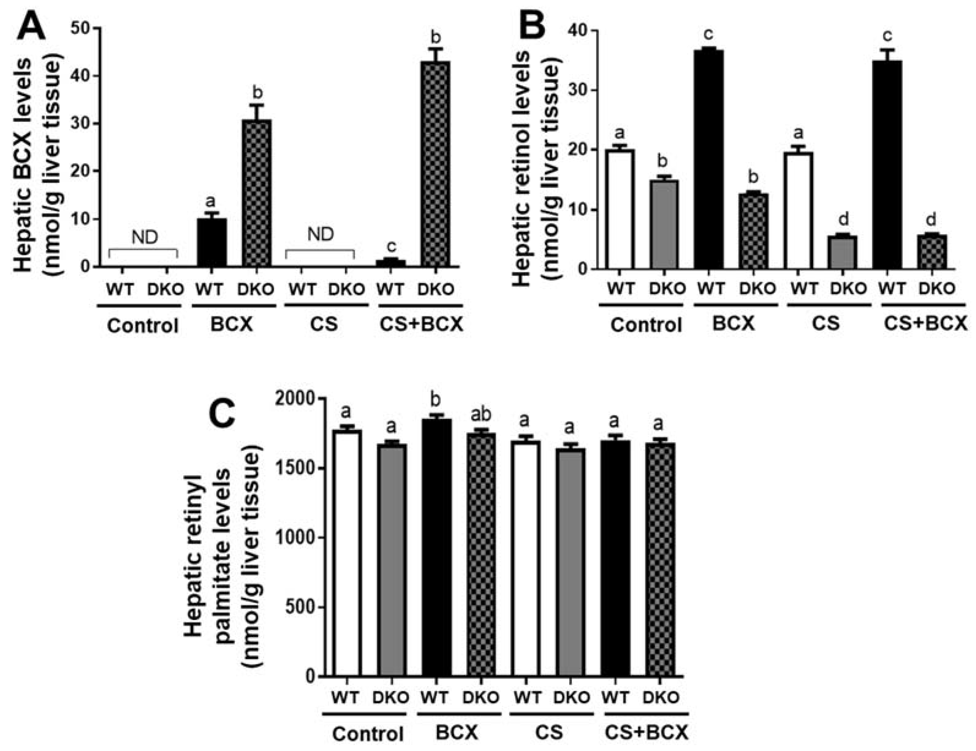 Molecules 28 01383 g001
