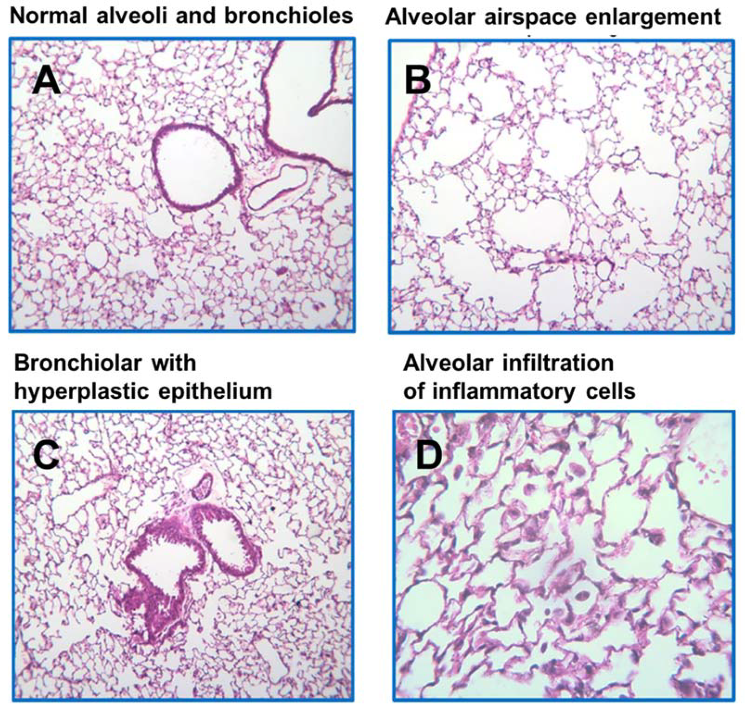 Molecules 28 01383 g002
