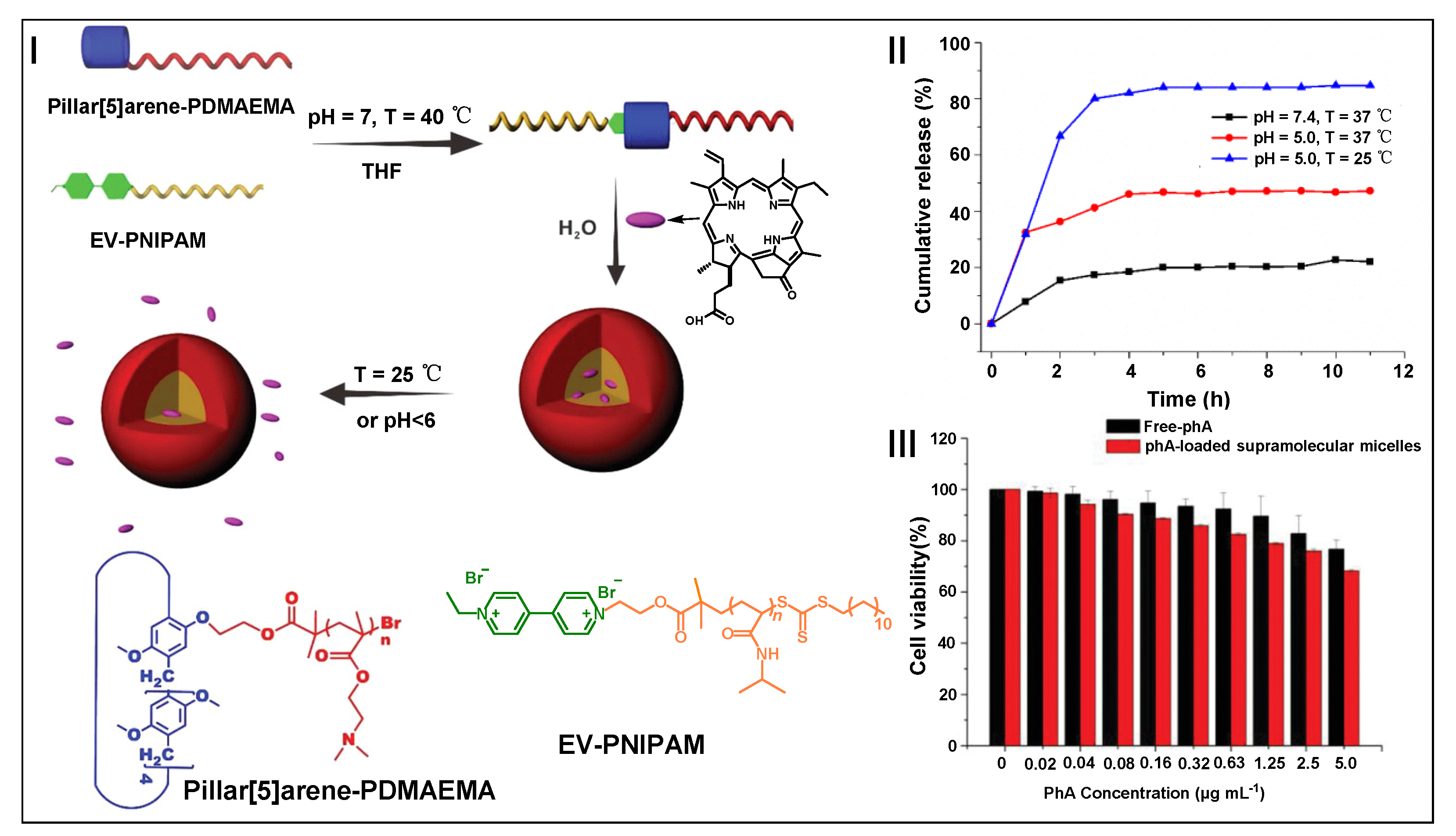 Molecules 28 01470 g010 Molecules 28 01470 g010