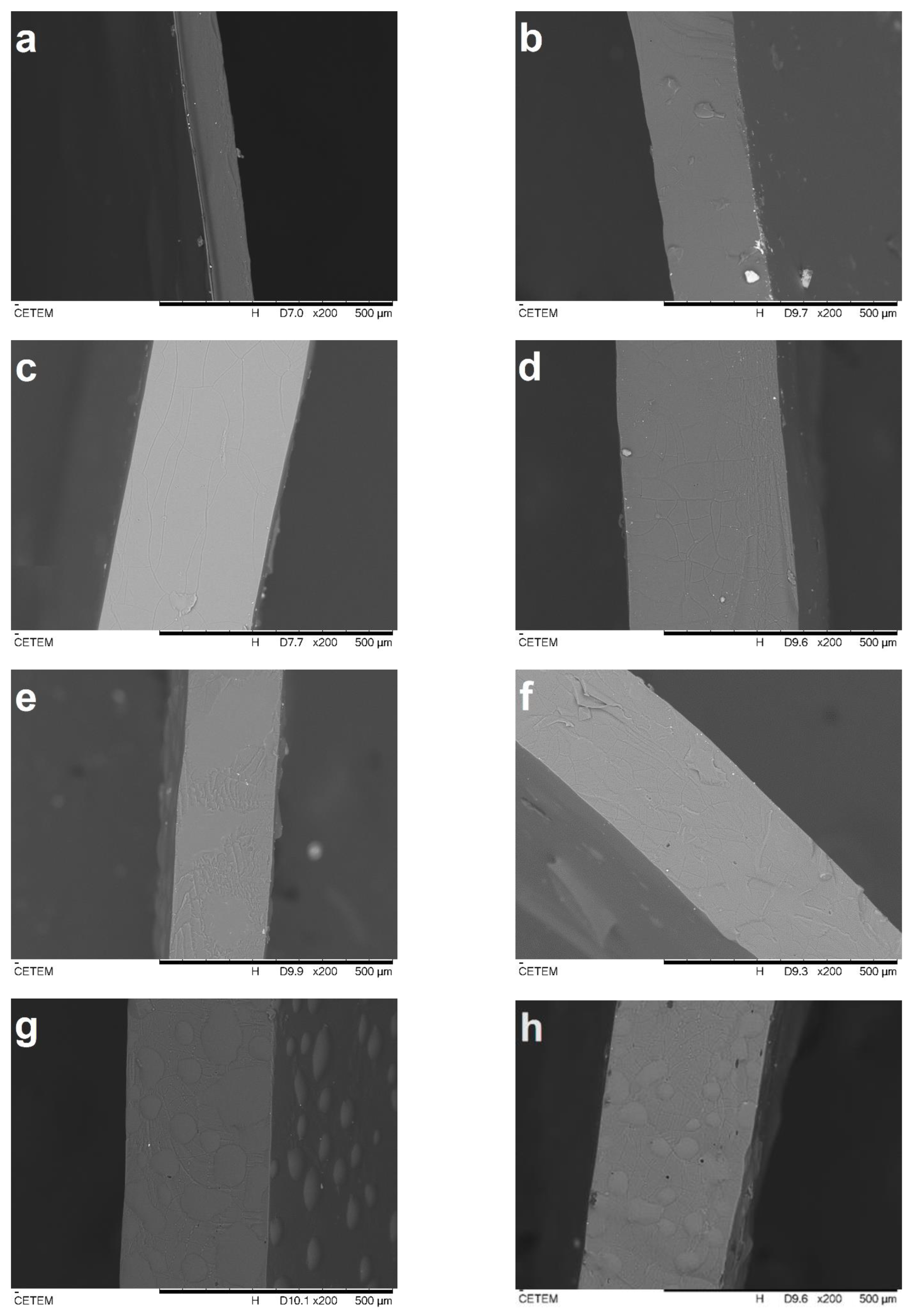 Molecules 28 01507 g002 Molecules 28 01507 g002