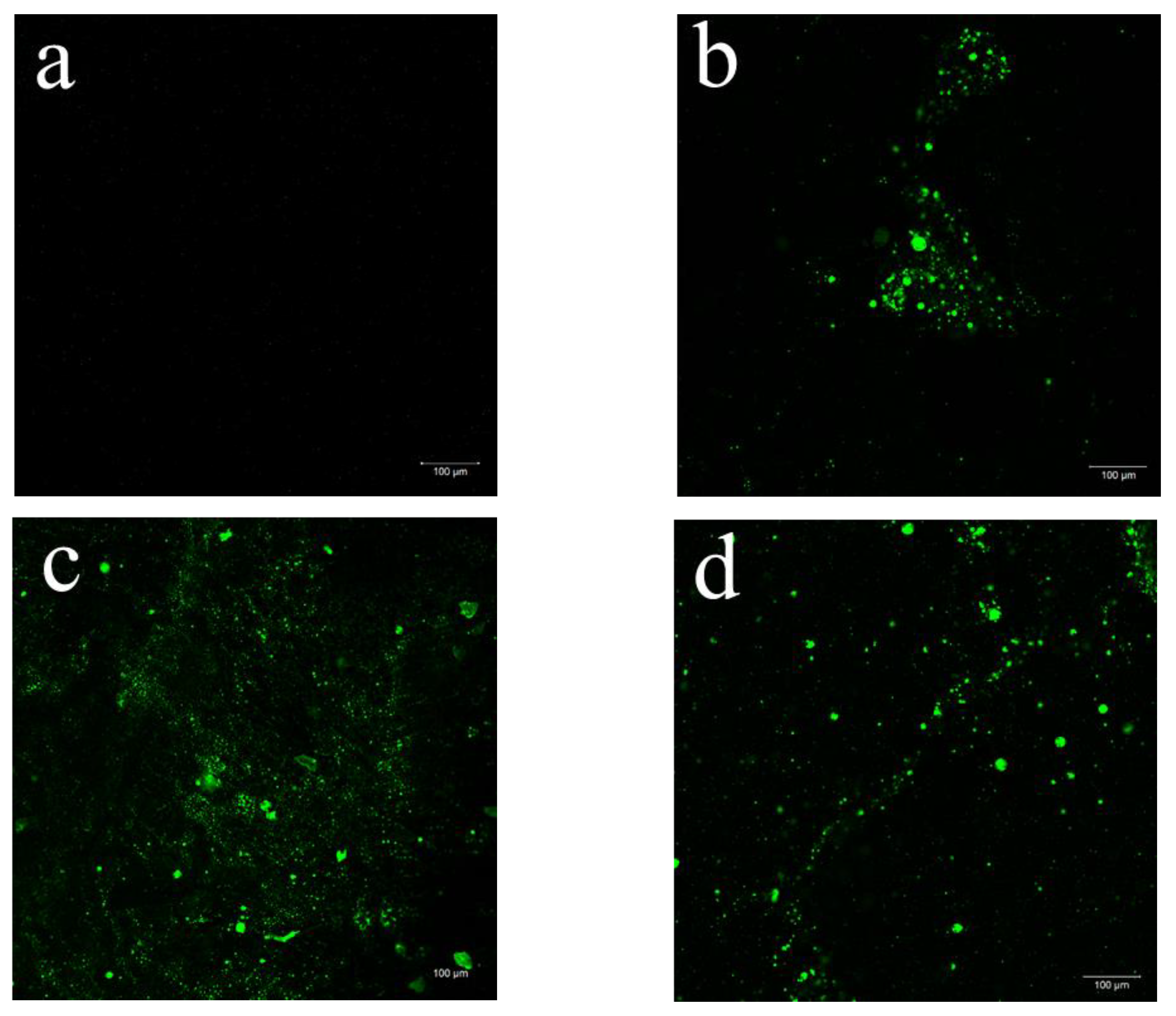 Molecules 28 01507 g003a Molecules 28 01507 g003a
