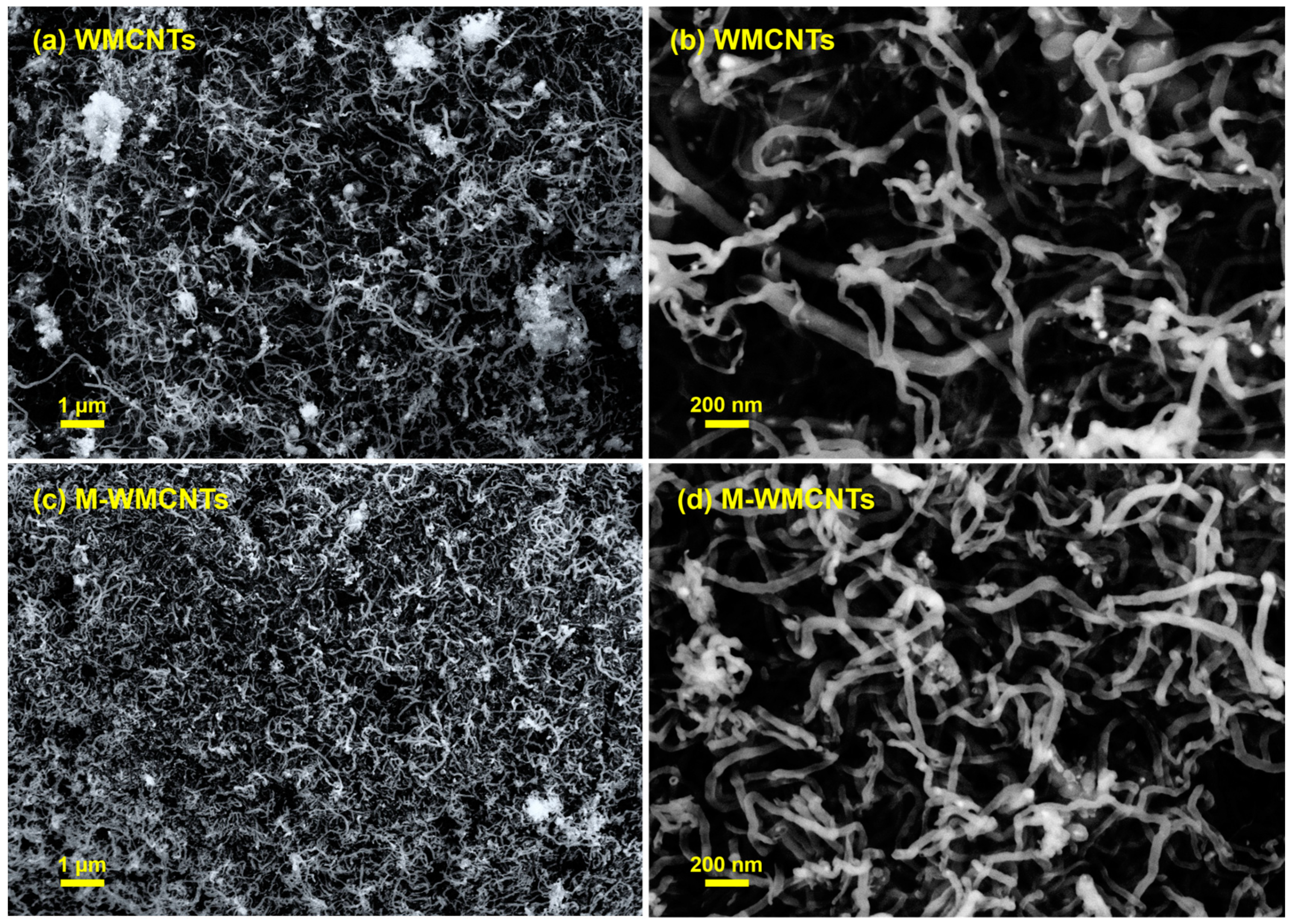 Molecules 28 01870 g003 Molecules 28 01870 g003