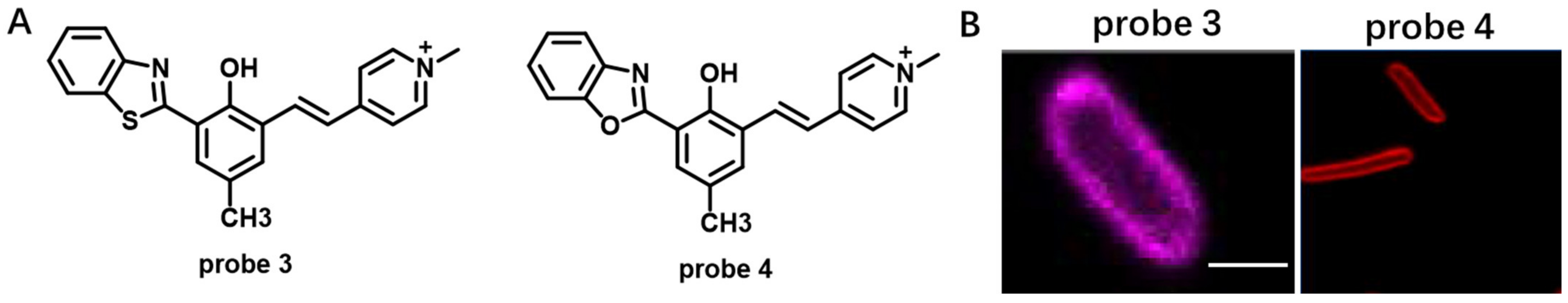 Molecules 28 01906 g003