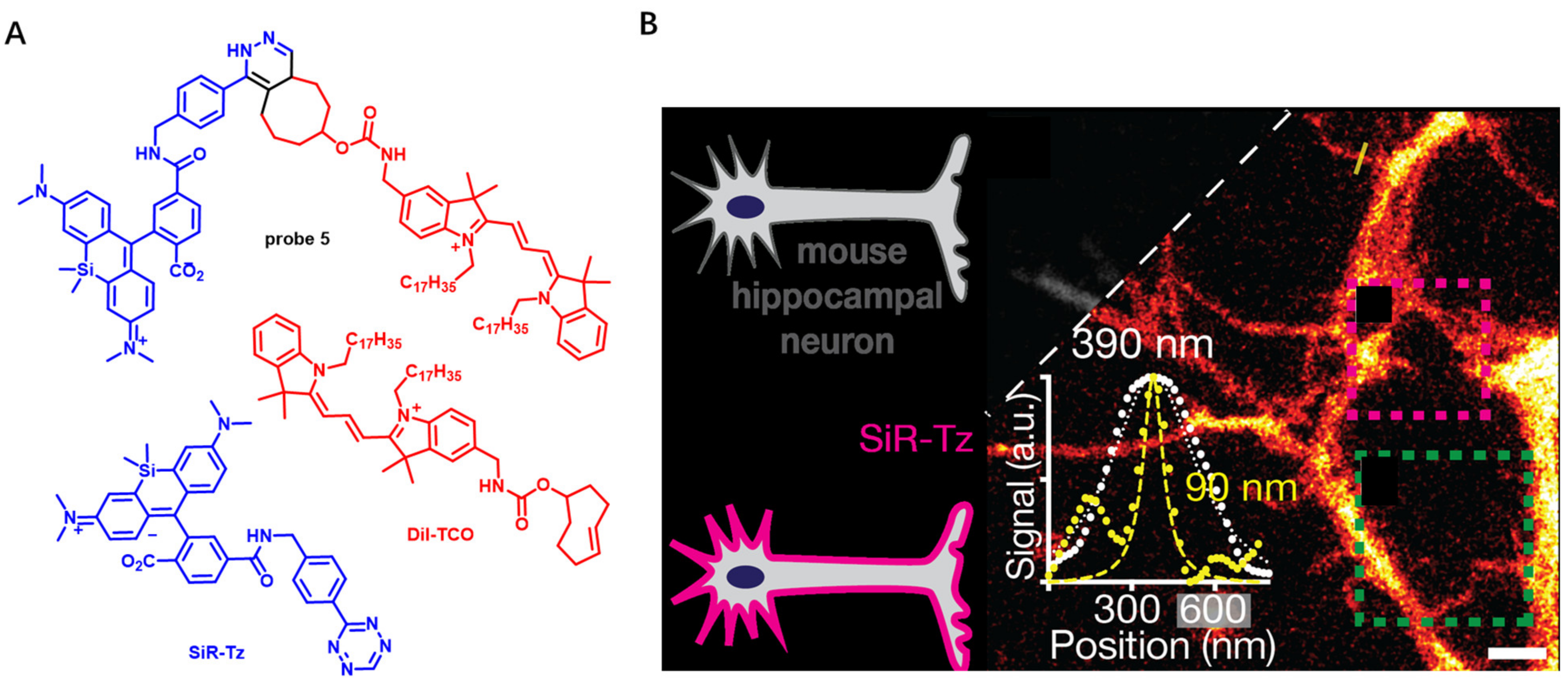 Molecules 28 01906 g004