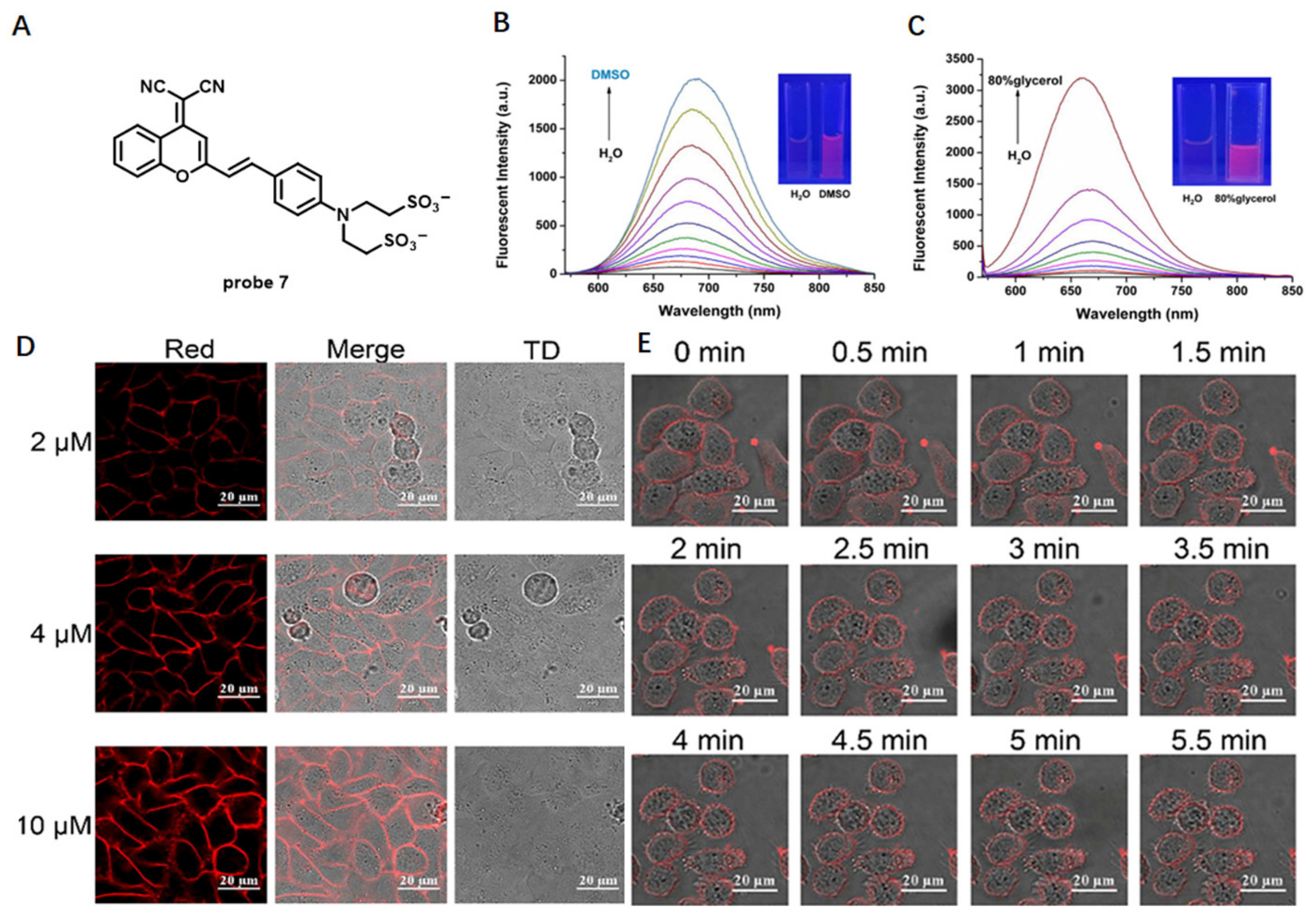 Molecules 28 01906 g006