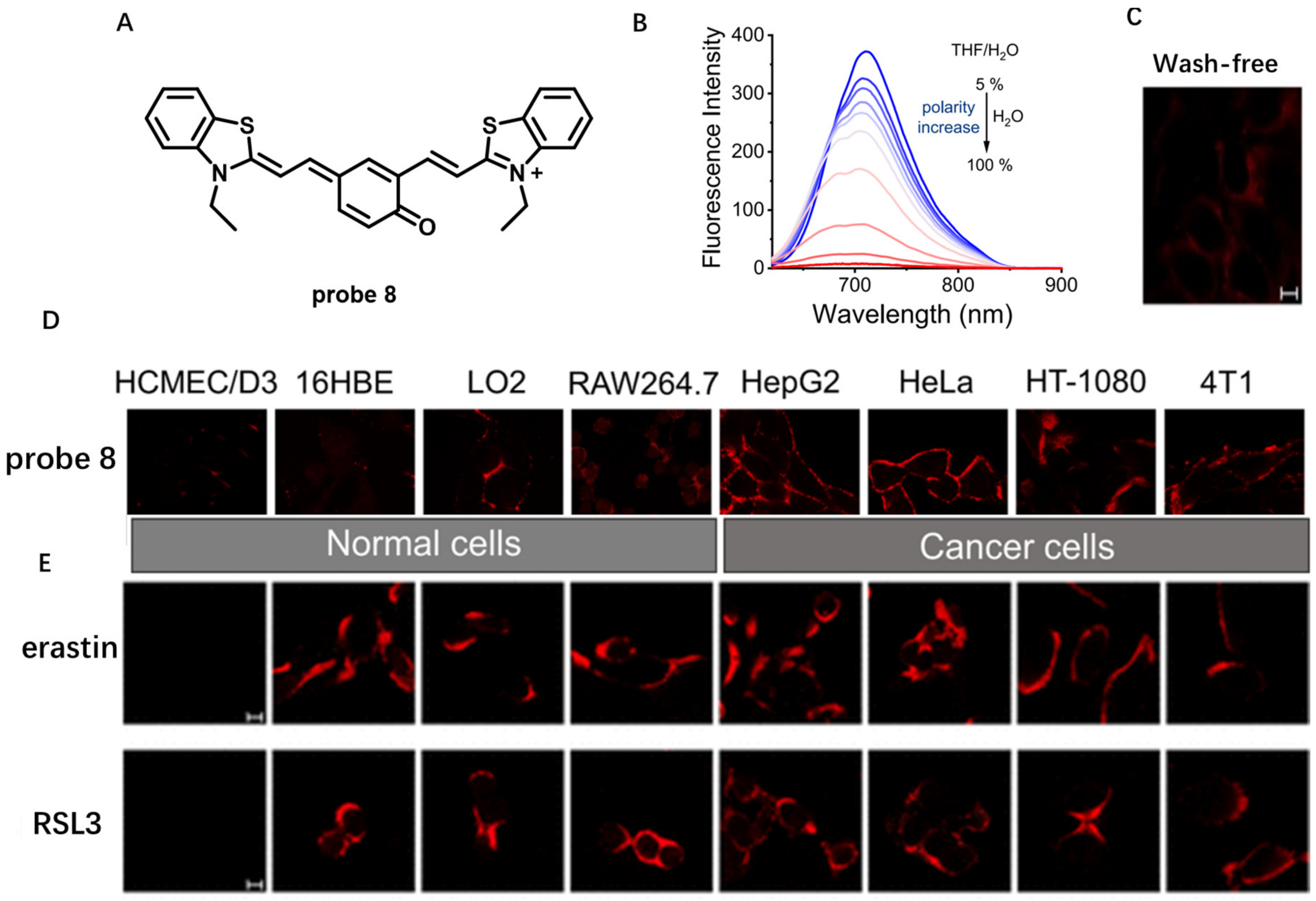 Molecules 28 01906 g007