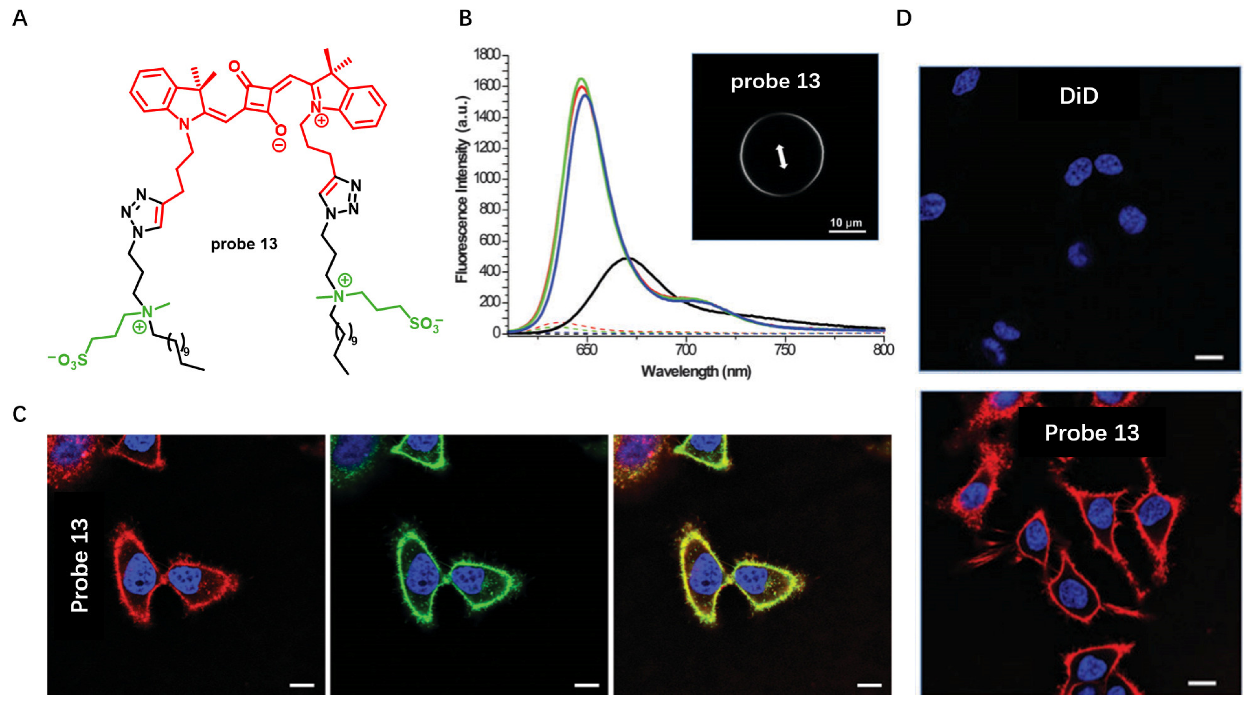 Molecules 28 01906 g013