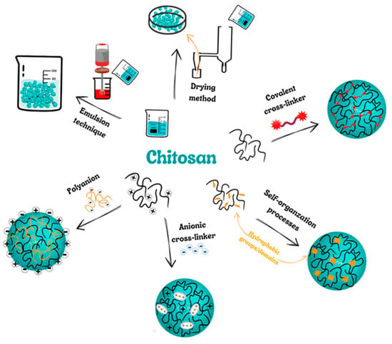 Molecules Free Full Text Chitosan Based Nanoparticles As Effective