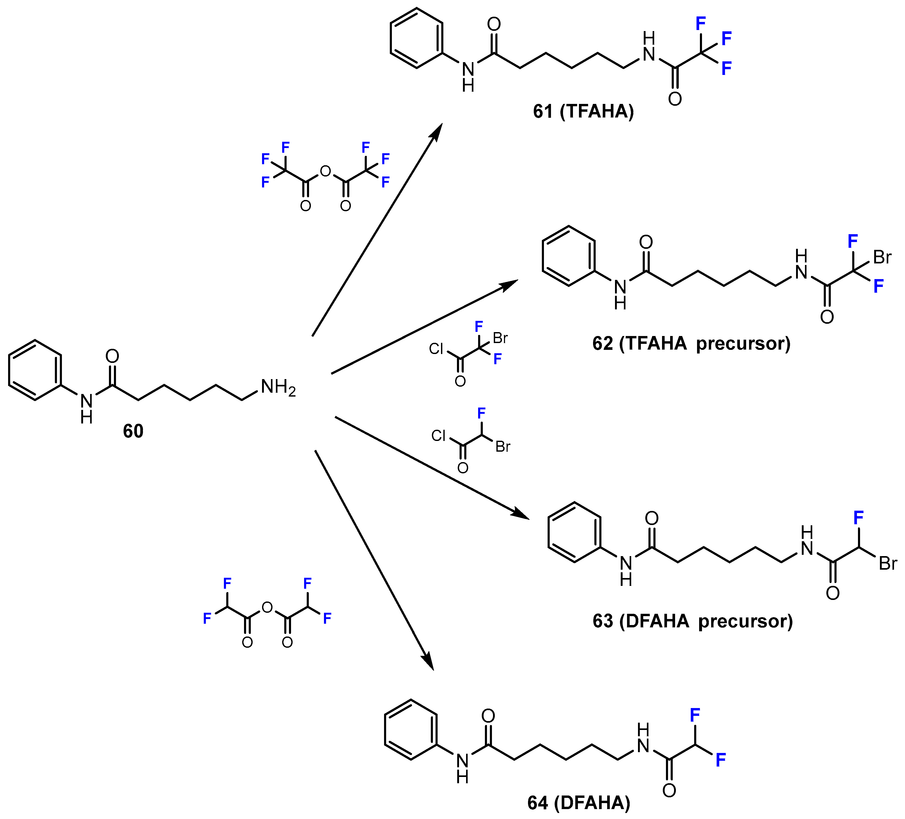 Molecules 28 01973 sch016 Molecules 28 01973 sch016