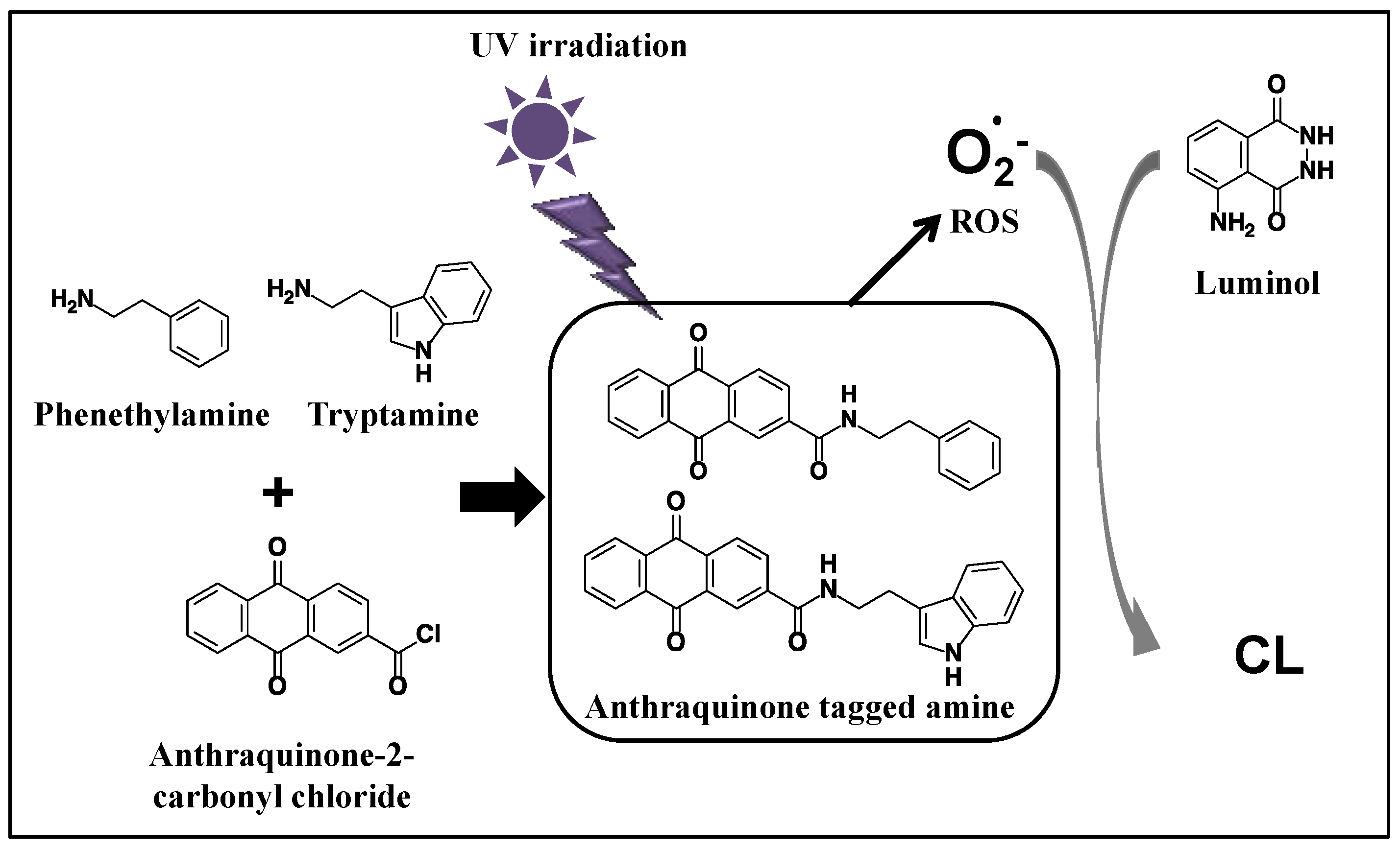 Molecules 28 02146 g001