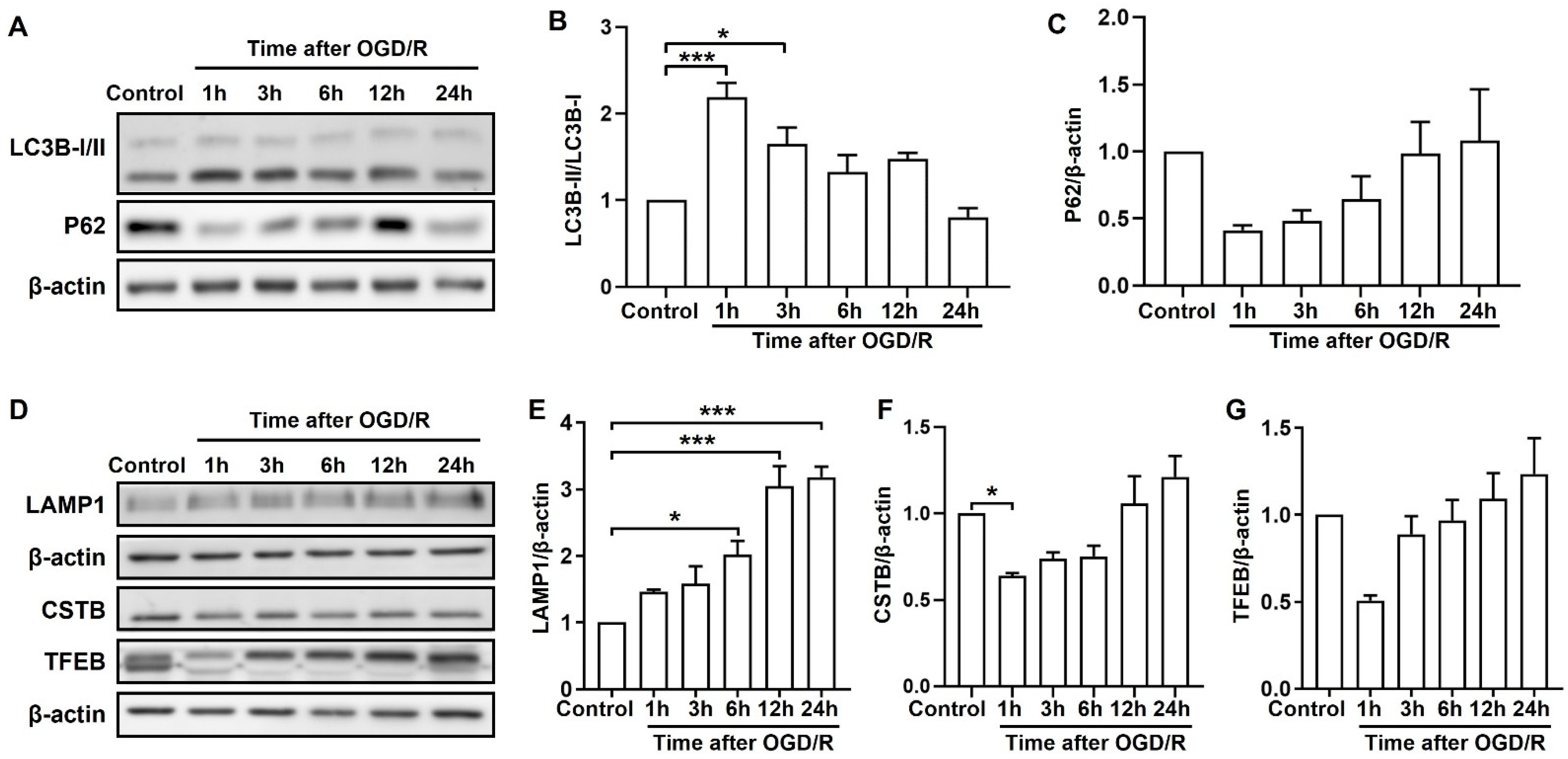 Molecules 28 02370 g002